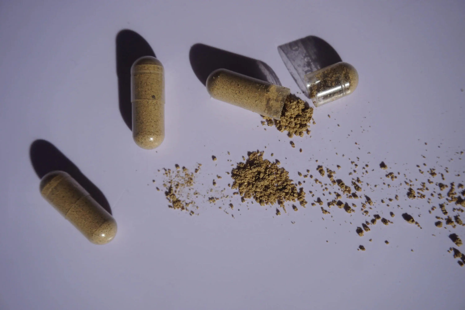 The Dirt On Spore-Based Probiotics