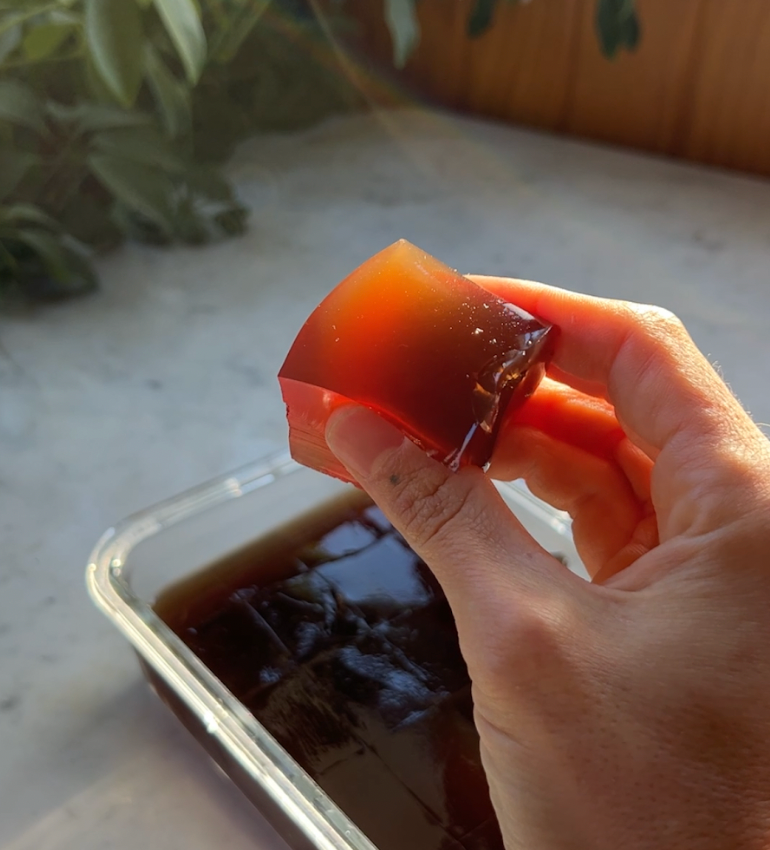 Gut-Healing Elderberry Gummies