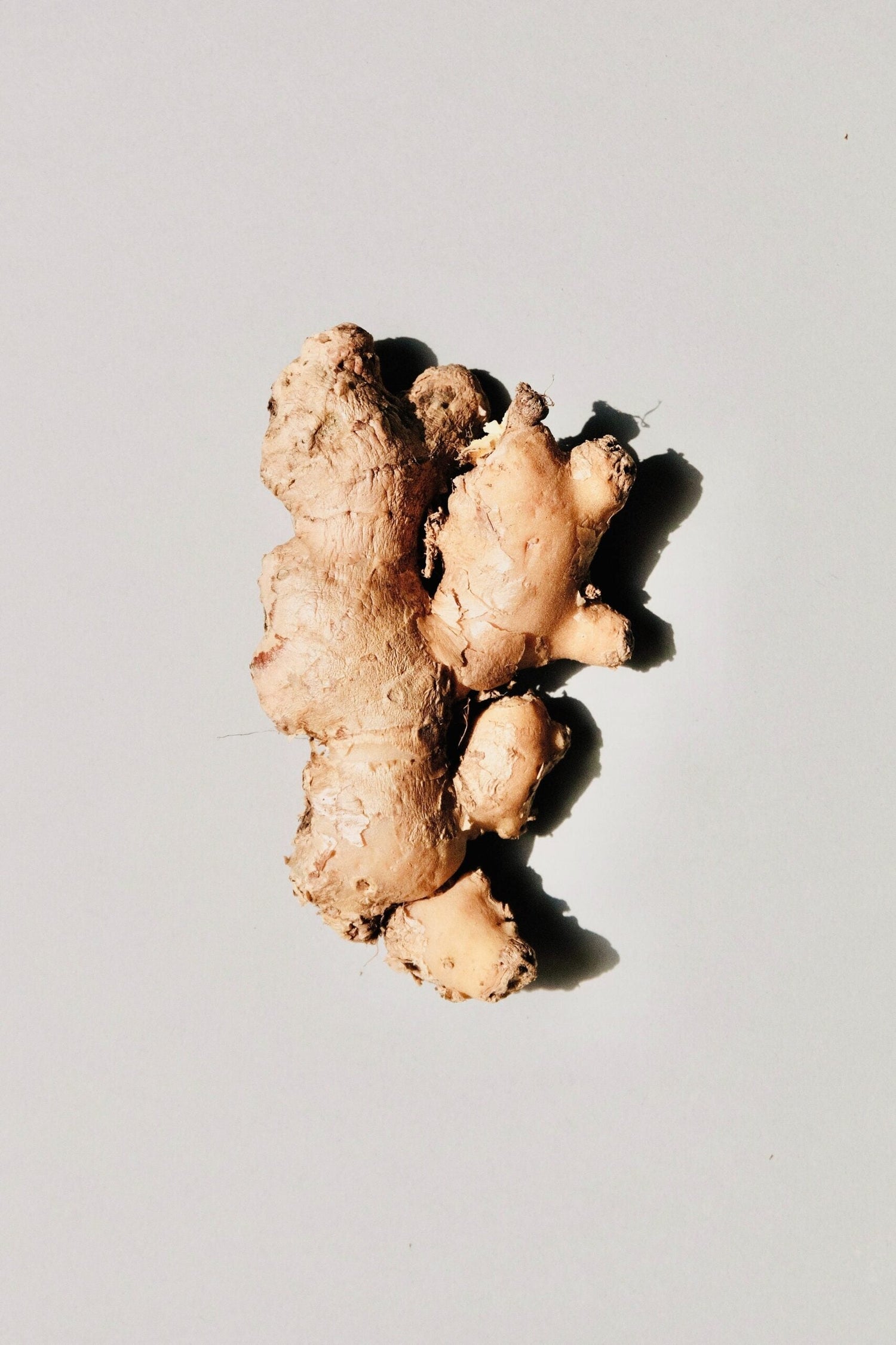 Groundbreaking Study Shows the Power of Ginger + Cinnamon for PCOS