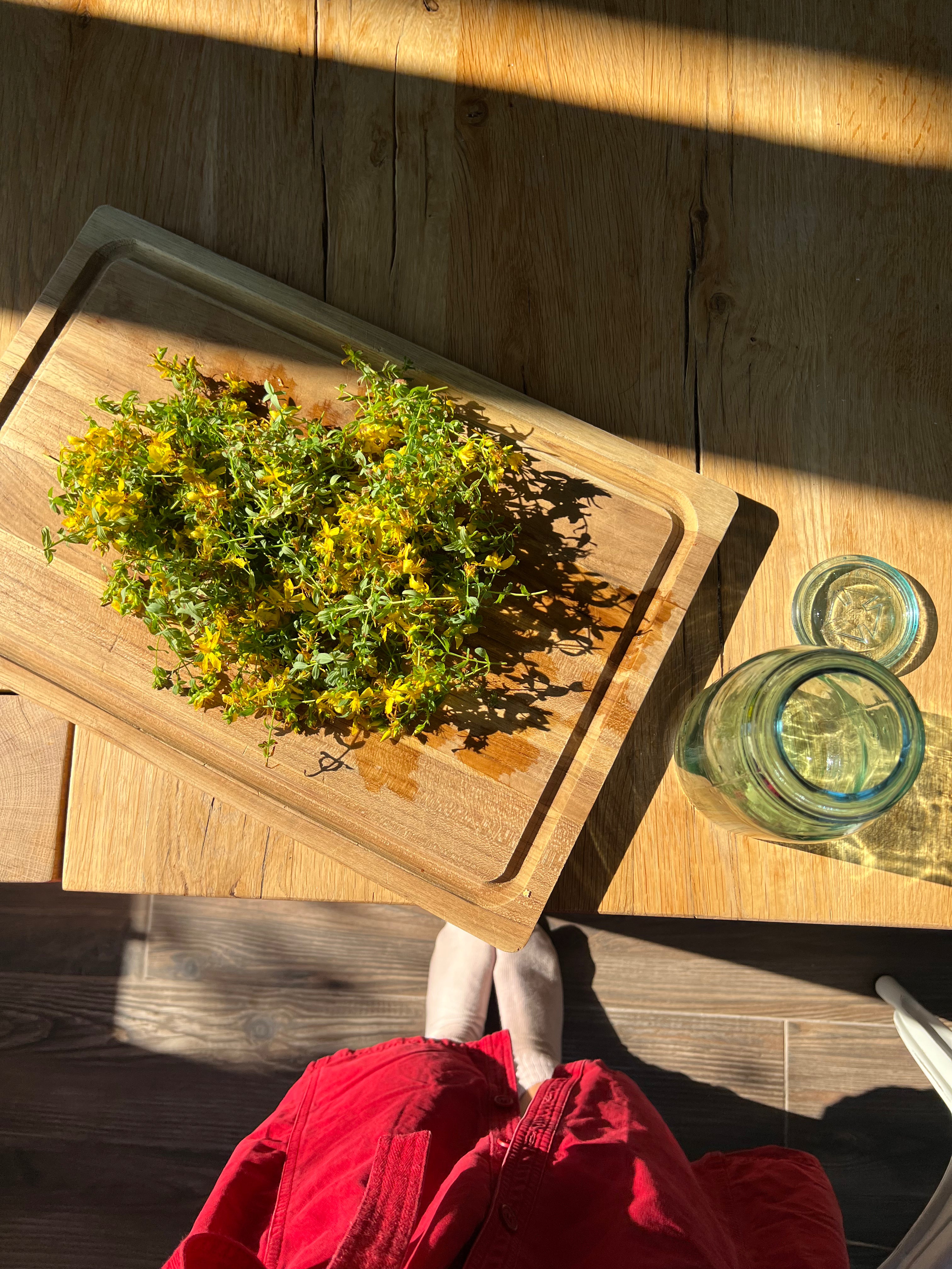 Herbal Workshop: Herbs for Courage, Change and Rebirth