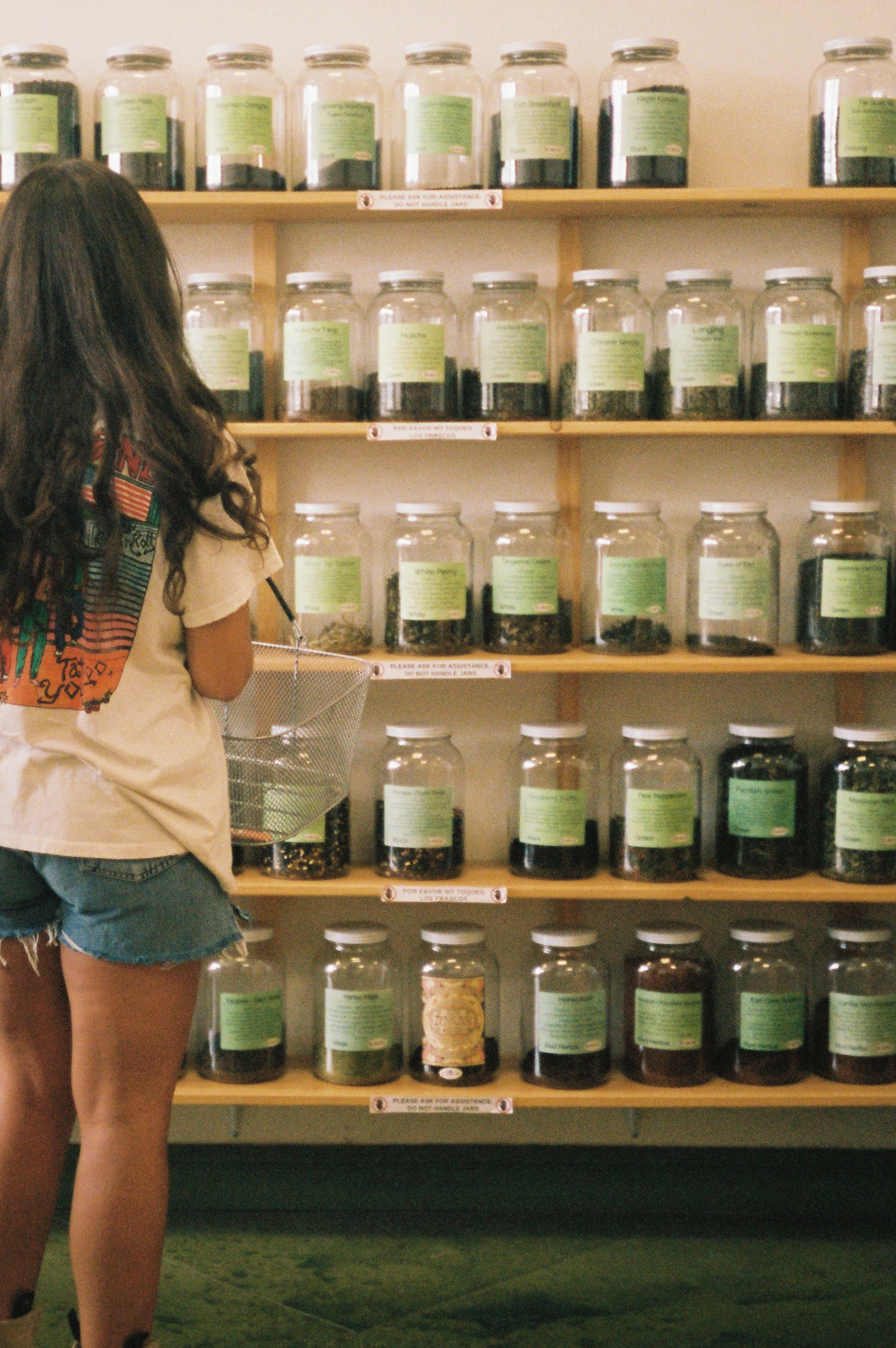 Herbal Workshop: An Herbalist Guide to Digestion