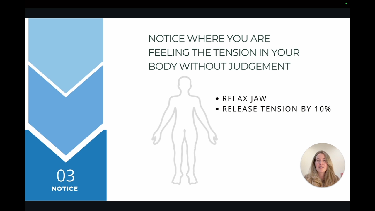 Nervous System 101: From Survival to Safety