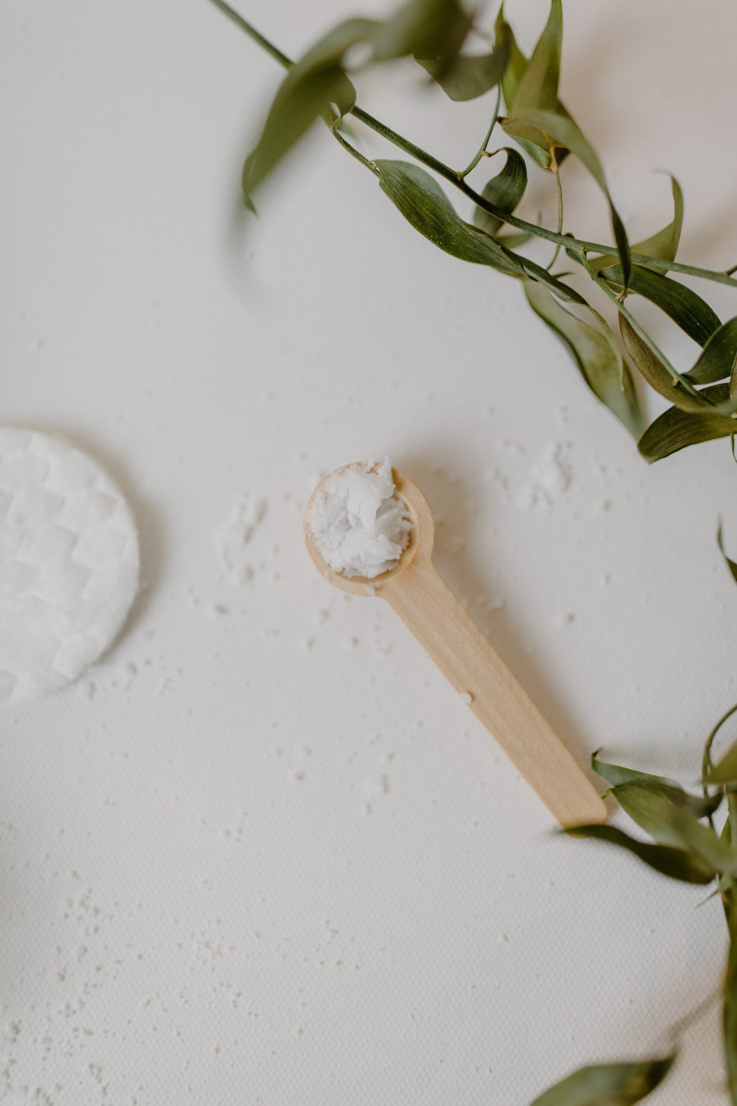 Wooden scoop holding solid white oil next to a cotton pad and green leaves on a white surface