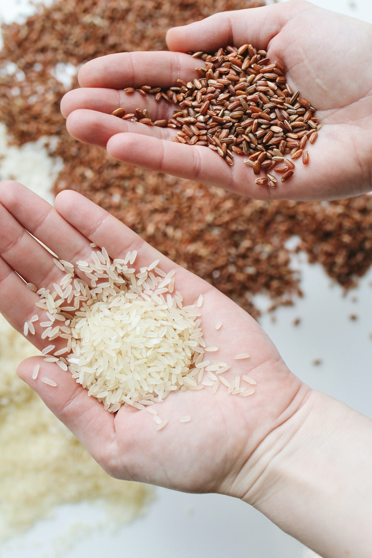 Two hands holding white rice and red-brown rice over a scattered grain background