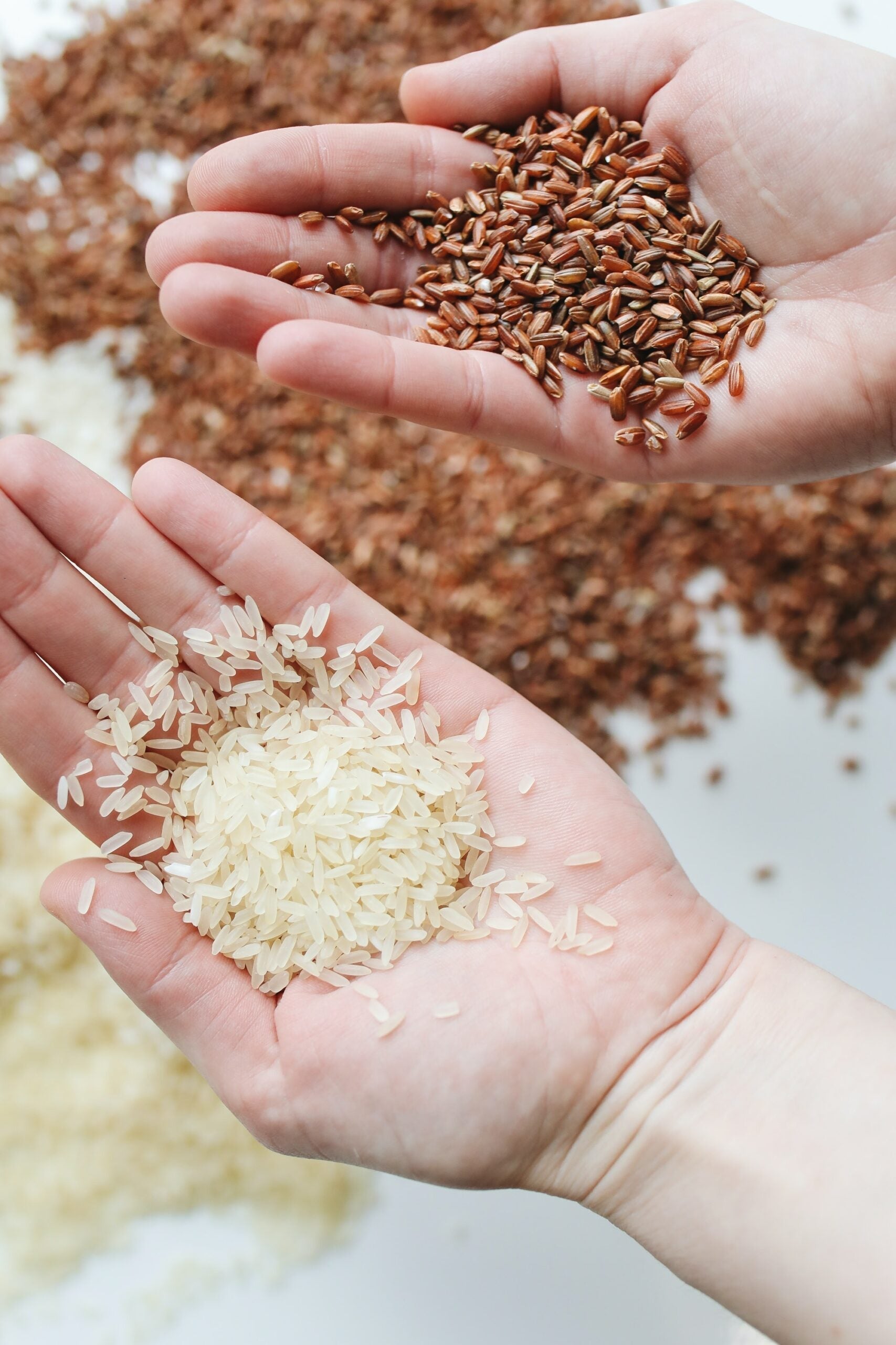 Two hands holding white rice and red-brown rice over a scattered grain background