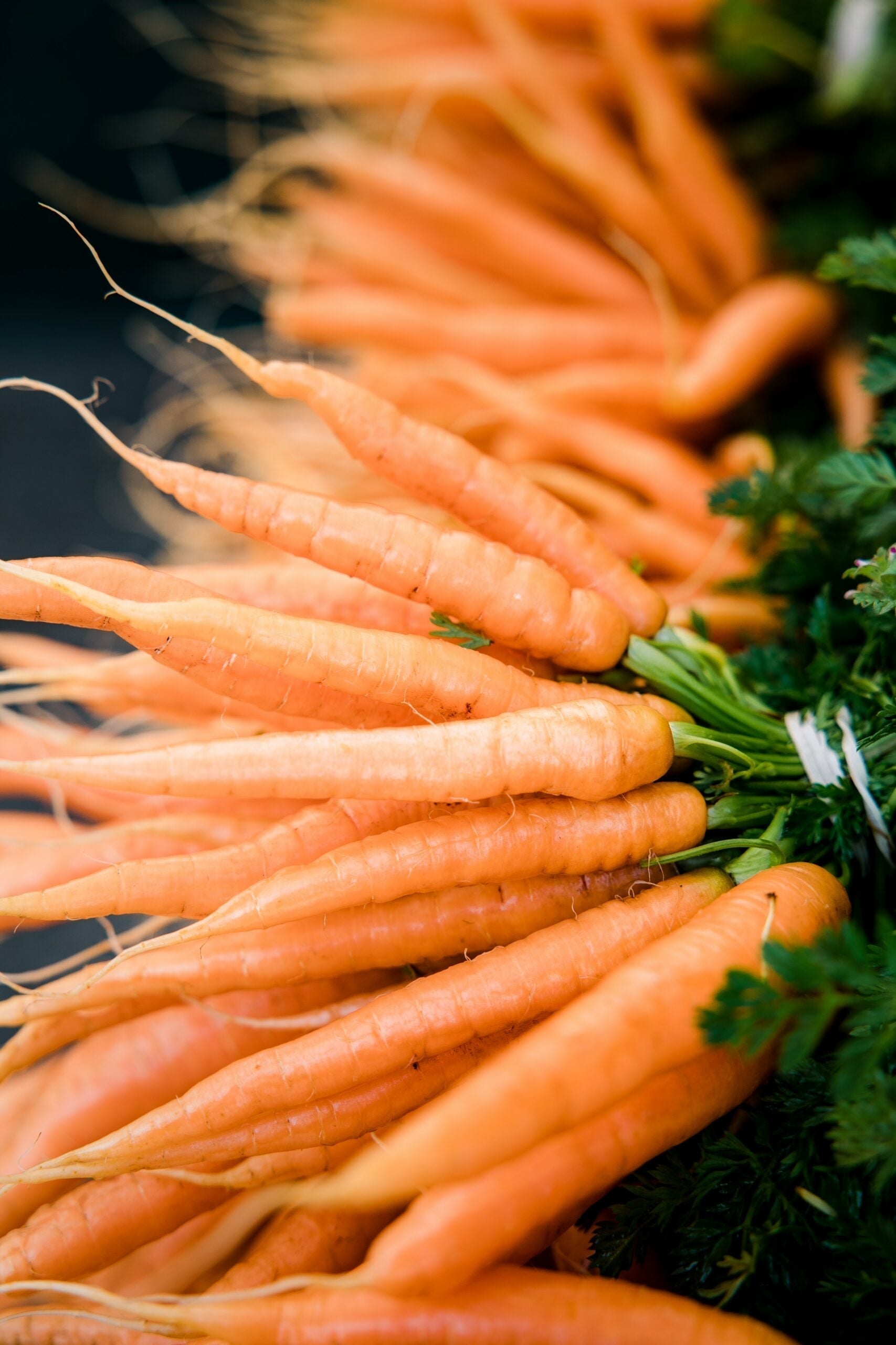 Close-up of bunches of fresh carrots with green tops, showing tapered roots and textured skin