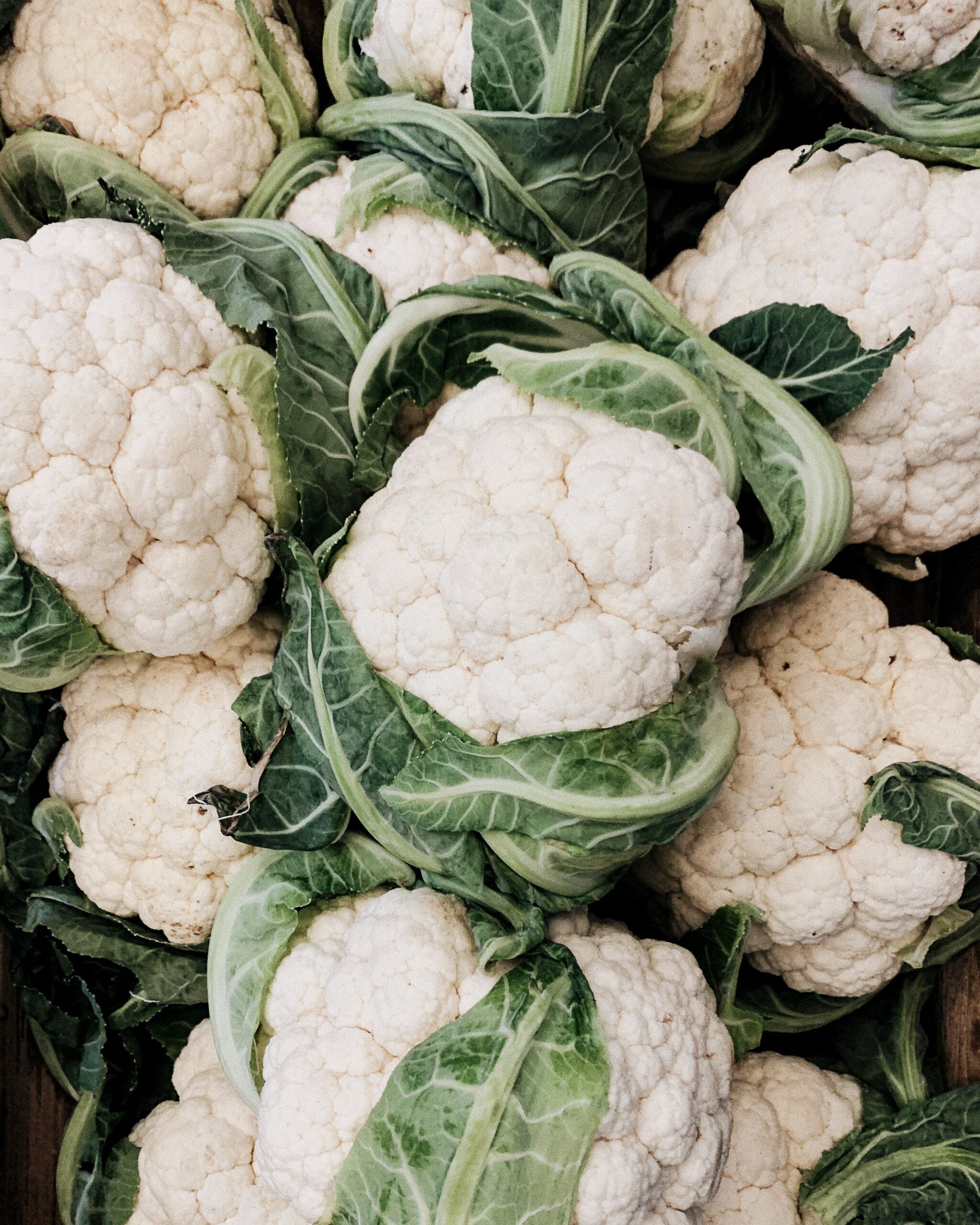 Close-up of cauliflower heads showcasing white curds and green outer leaves with several heads packed closely together