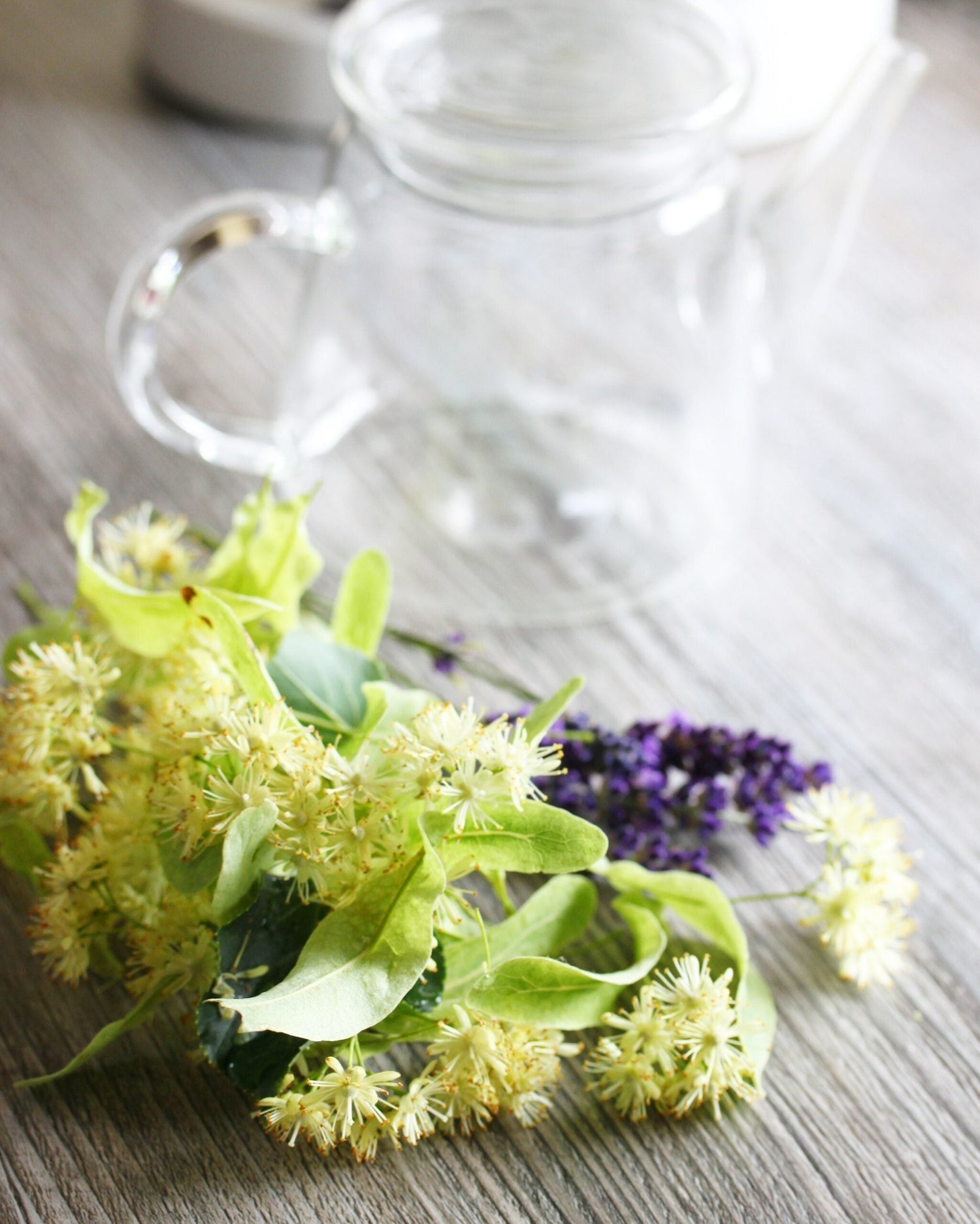 Linden flower clusters and lavender sprigs beside a clear glass teapot on a weathered wooden table