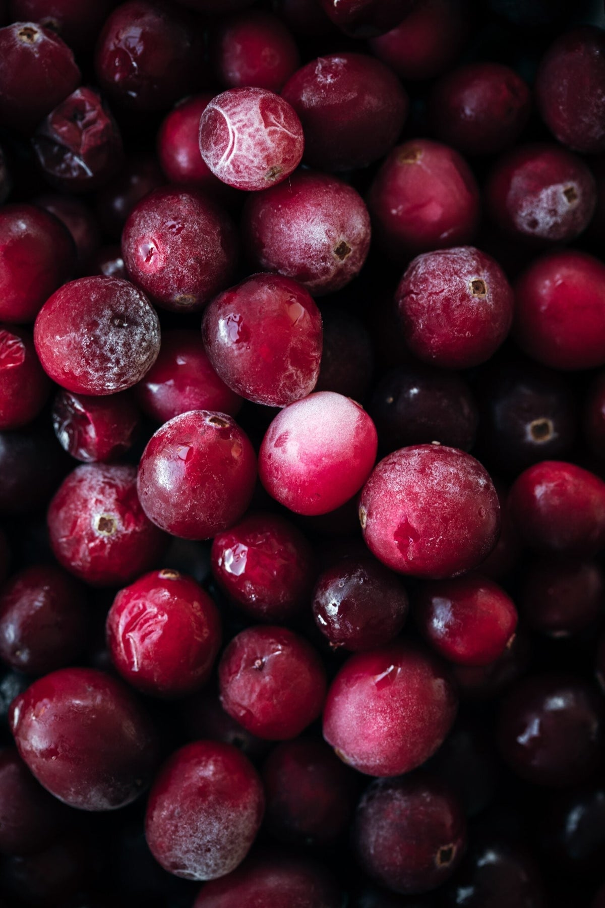 Close-up of cranberries showing frosted skins and glossy deep-red color against a dark background