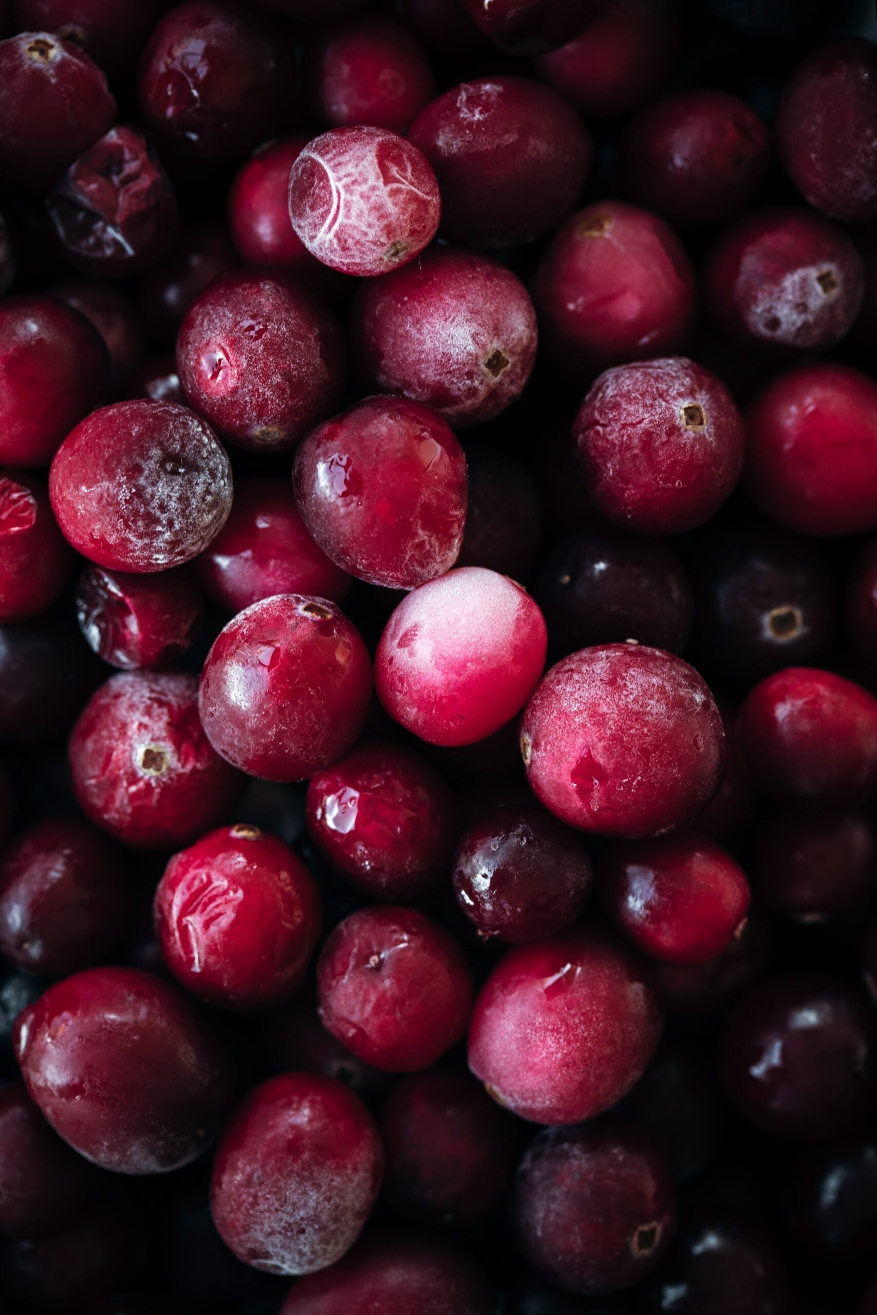 Close-up of cranberries showing frosted skins and glossy deep-red color against a dark background