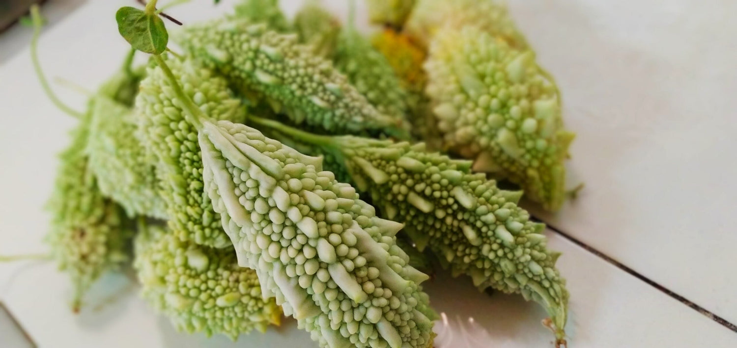 Close-up of bitter melons showcasing bumpy pale green skin on a white tiled surface