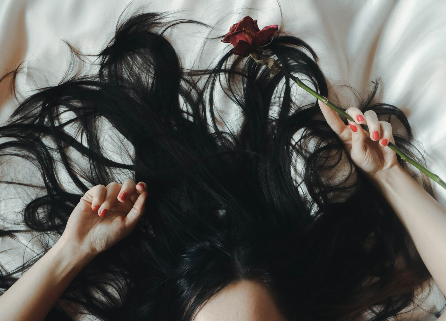 Dark hair fanned out on a white pillow with hands wearing red nail polish holding a wilted red rose