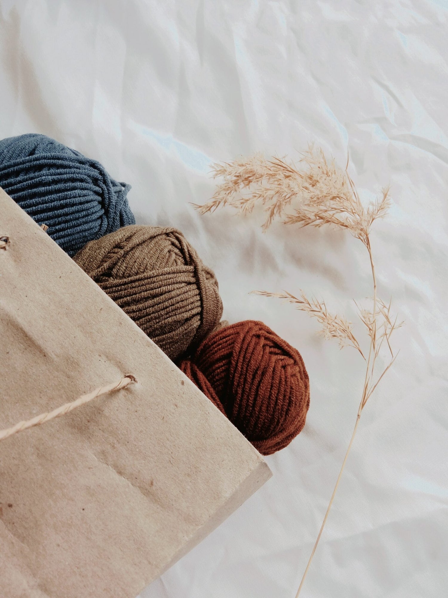 Three balls of knitting yarn (blue, brown, rust) peeking from a brown paper bag on a white sheet with a dried grass stem