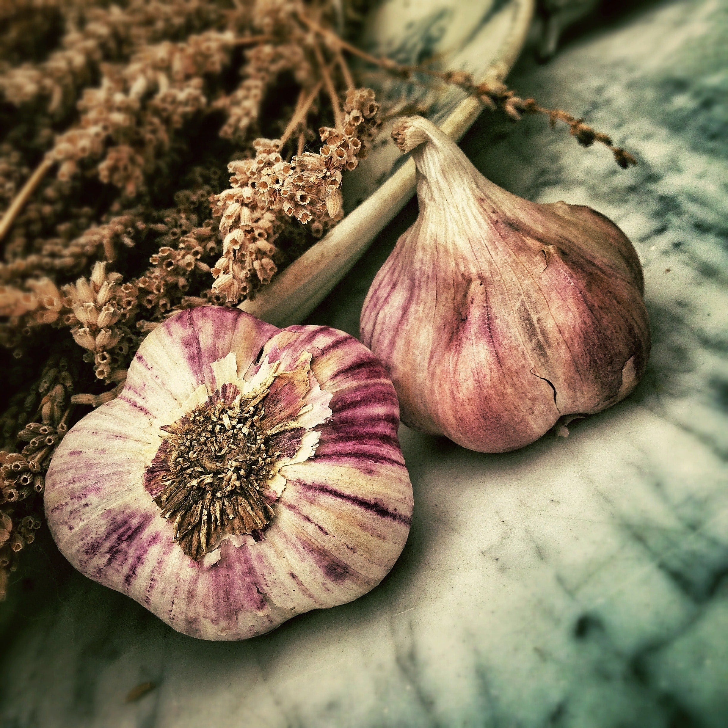 Two purple-streaked garlic bulbs with dried herb sprigs arranged on a marble surface