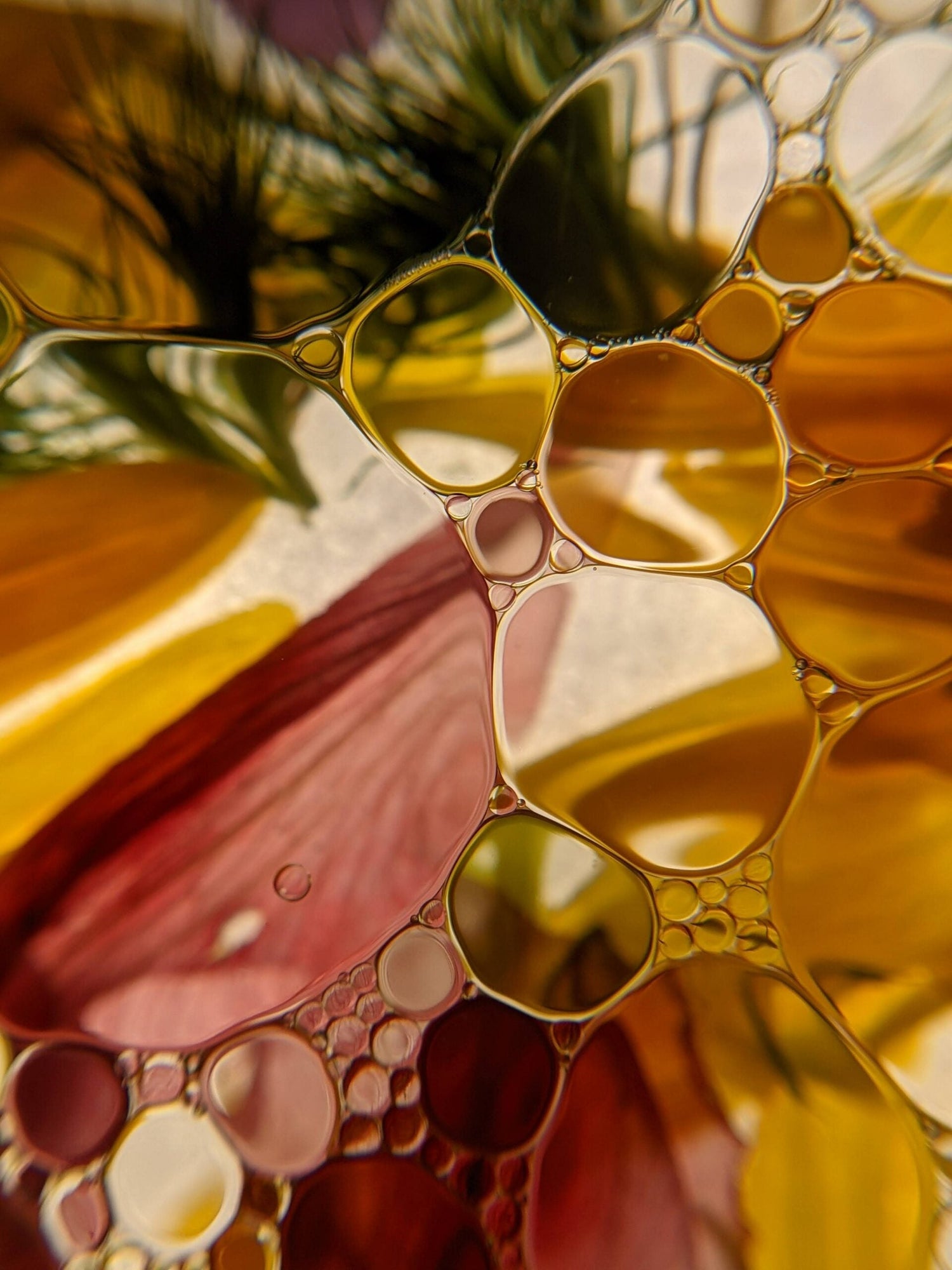 Close-up of oil droplets and bubbles over blurred yellow and pink flower petals in warm golden light