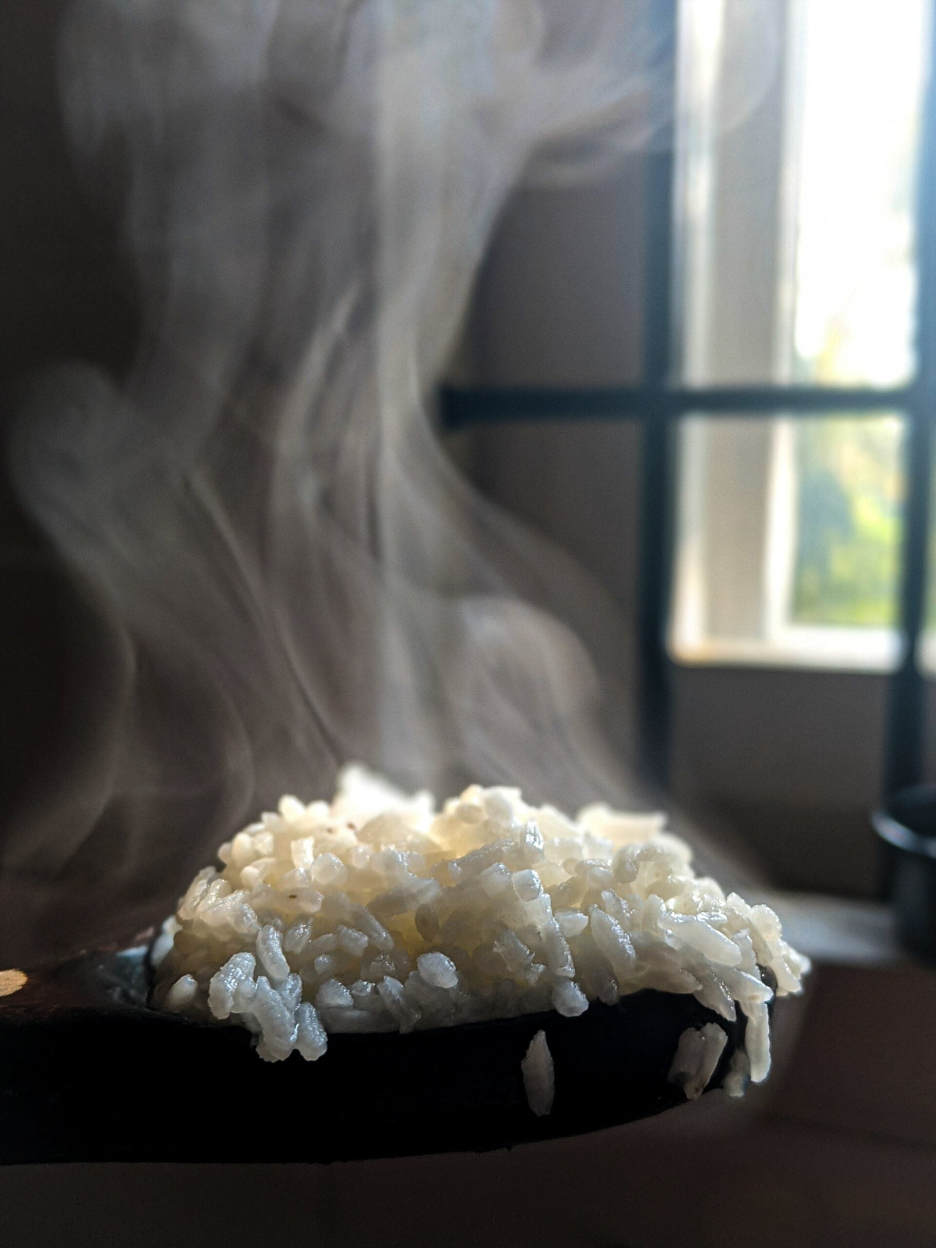 Steaming spoonful of fluffy white rice in front of a sunlit window