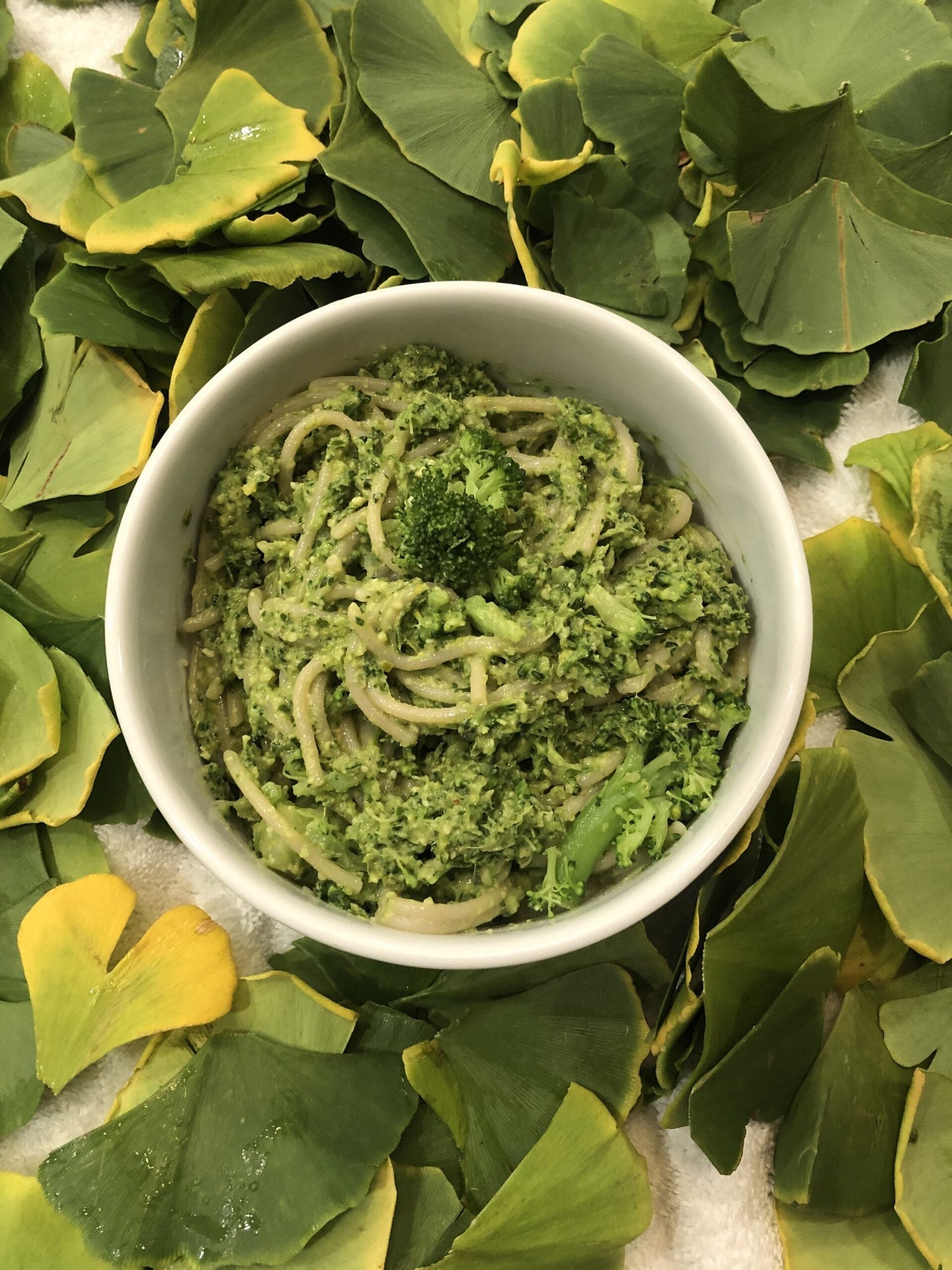 Bowl of green ginkgo pesto pasta in a white bowl resting on a bed of ginkgo leaves
