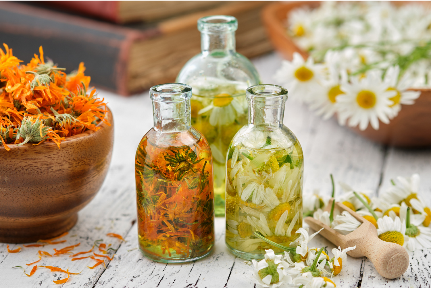 Three glass bottles of herb-infused oil with calendula and chamomile flowers on a white wooden table