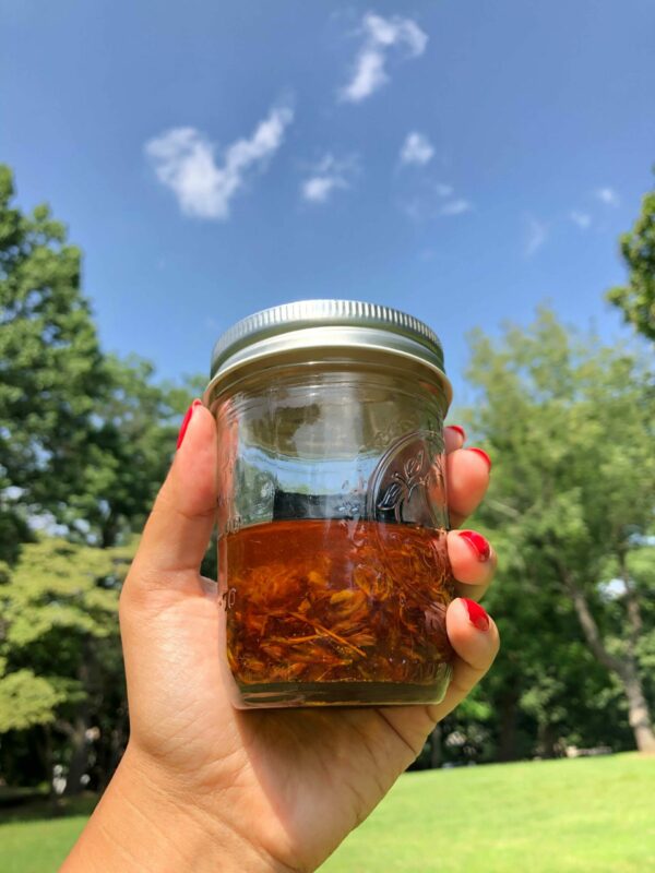 Hand holding a mason jar of St. John’s Wort–infused herbal oil against a blue sky and trees