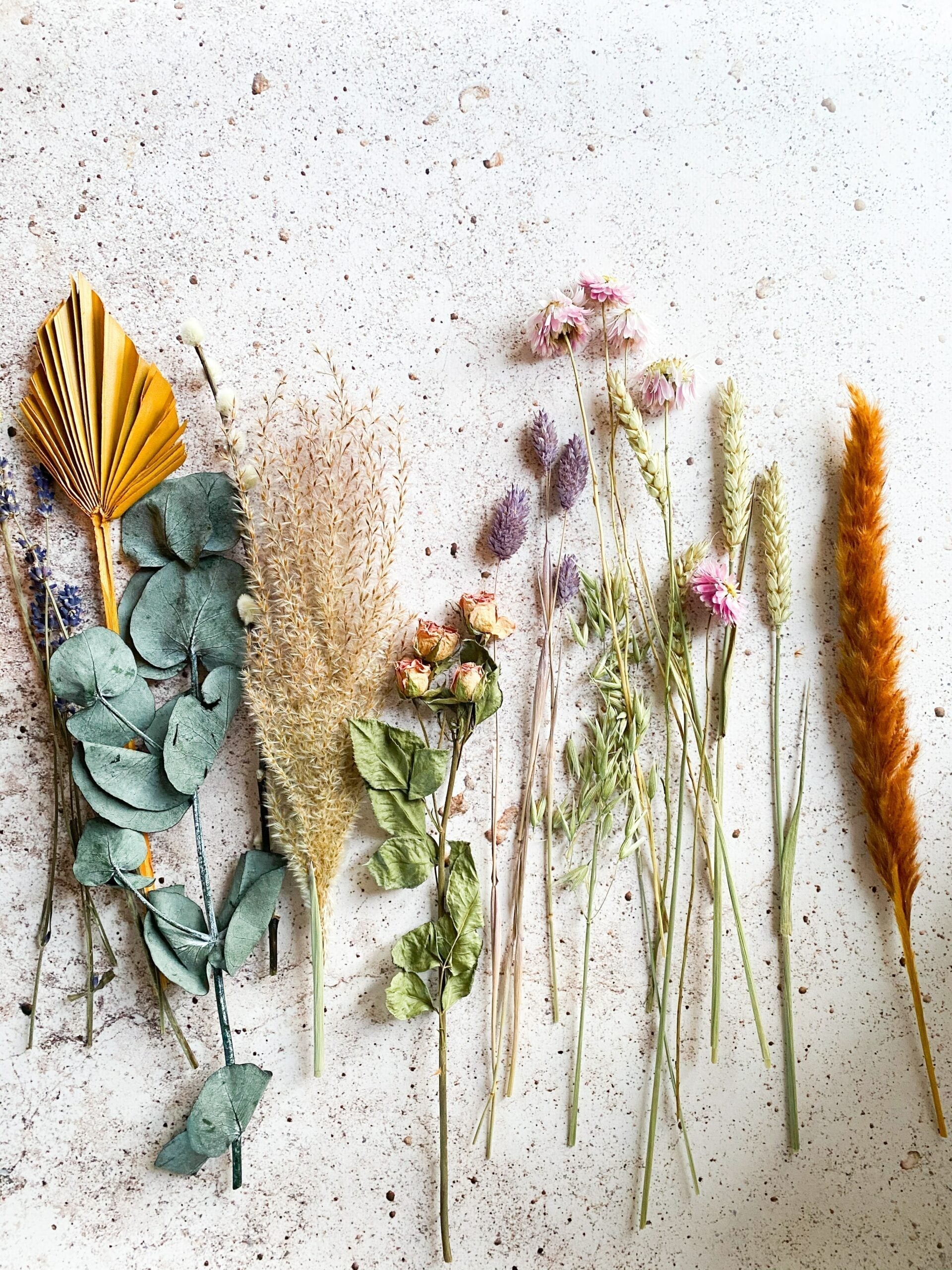 Dried herbs and flowers arranged in a row on a speckled stone background