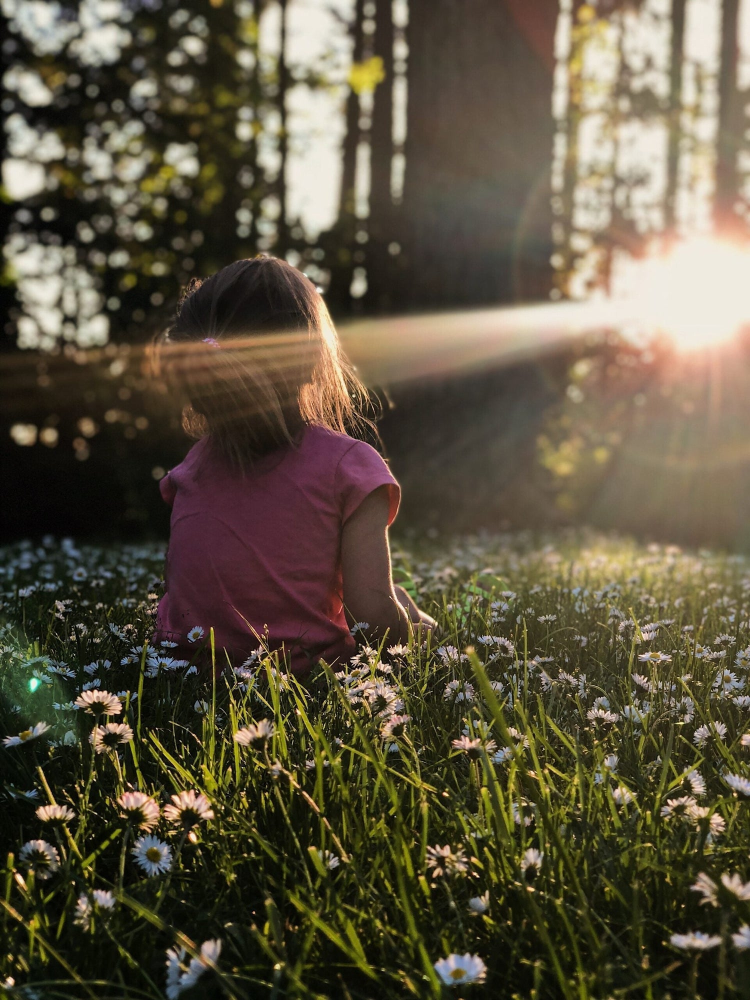 Child sitting in a daisy-filled meadow at sunset with sun rays streaming through trees