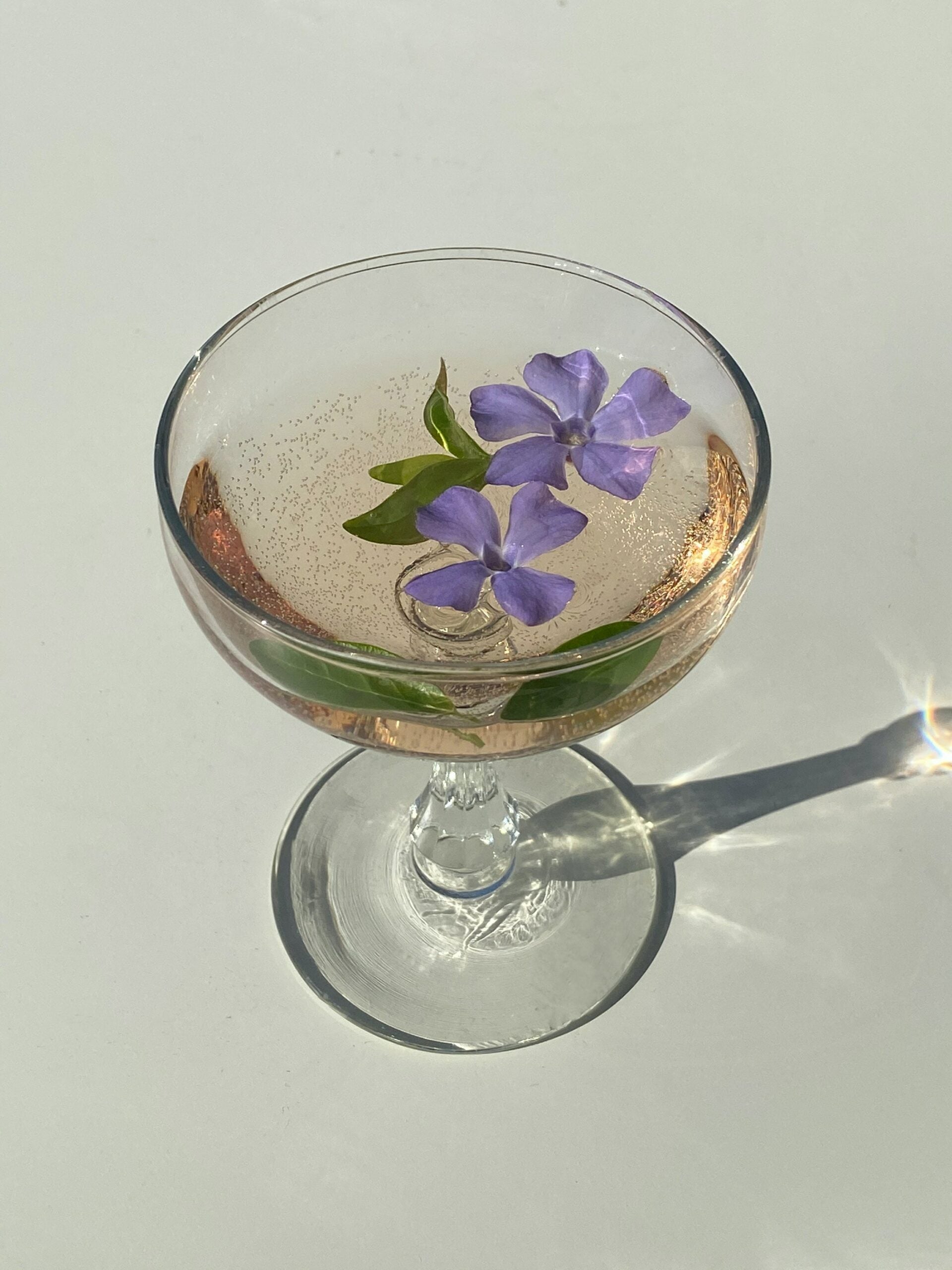 Coupe glass holding pale pink bitters with two floating purple flowers and green leaves, sunlight and shadow on white surface