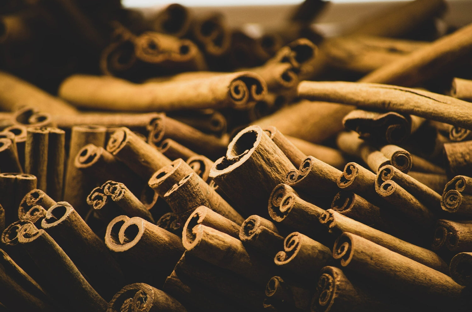 Close-up of cinnamon sticks showing curled quills and rough brown bark texture with blurred background