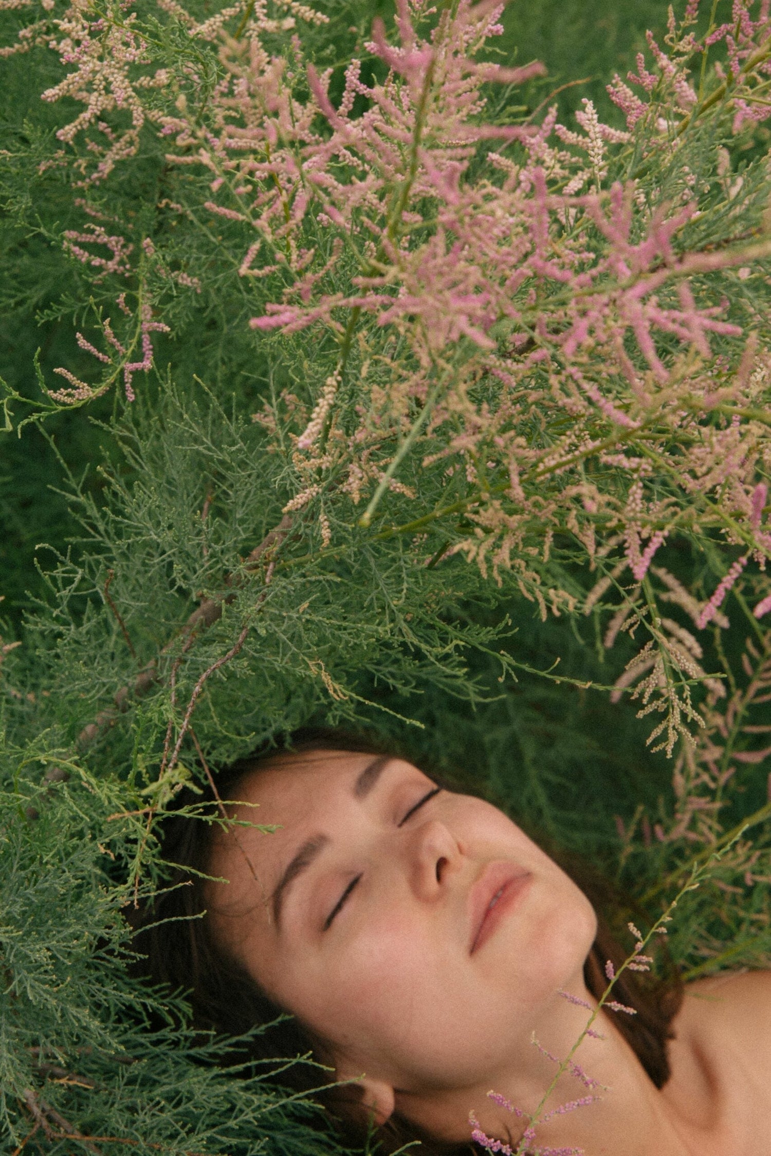 Young woman lying with closed eyes among green shrubs and pink blooms, appearing contemplative and peaceful