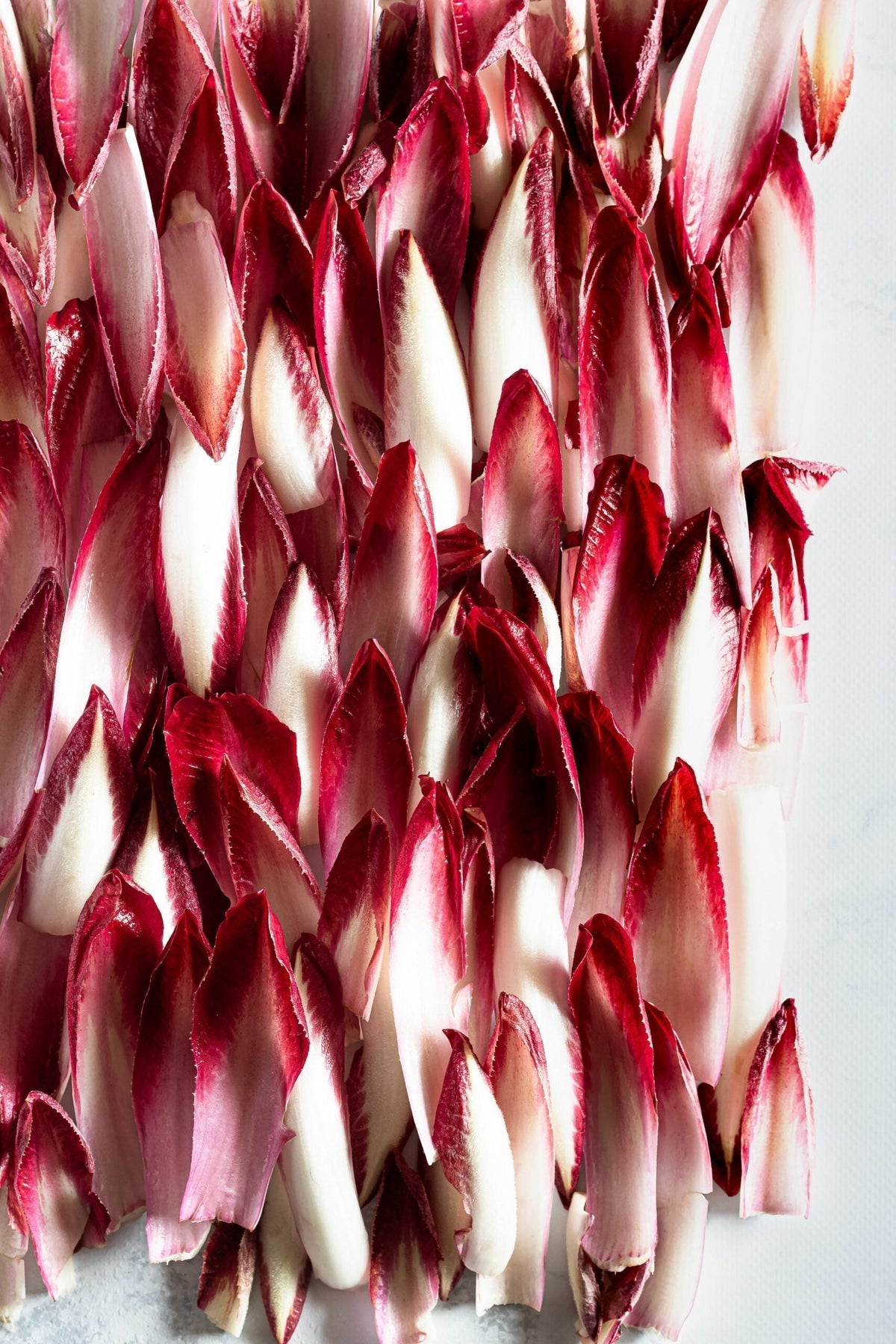 Close-up of red-tipped endive leaves arranged in vertical rows on a light surface