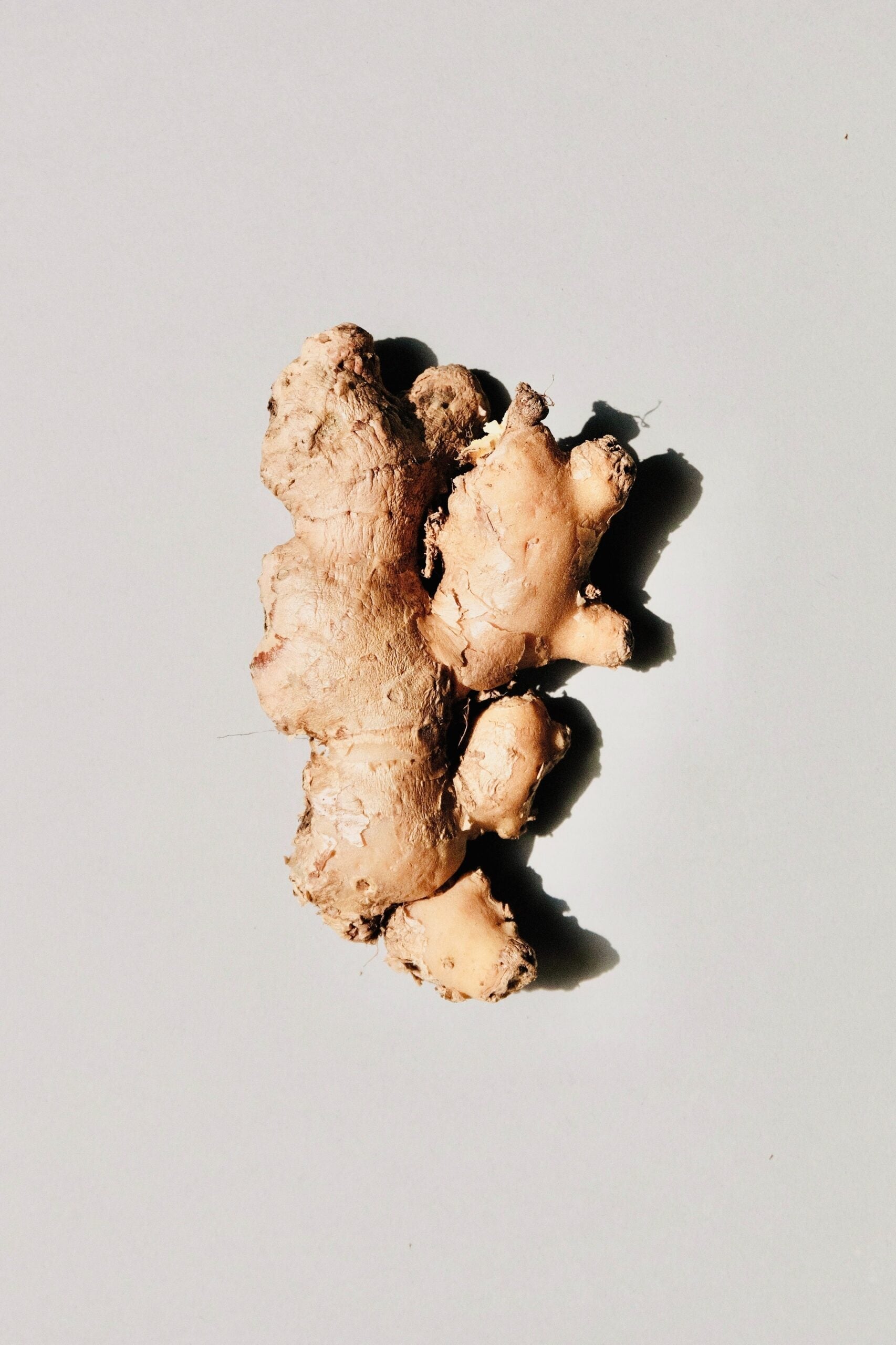 Overhead view of ginger root showcasing knobby beige skin and fibrous texture on a pale gray background