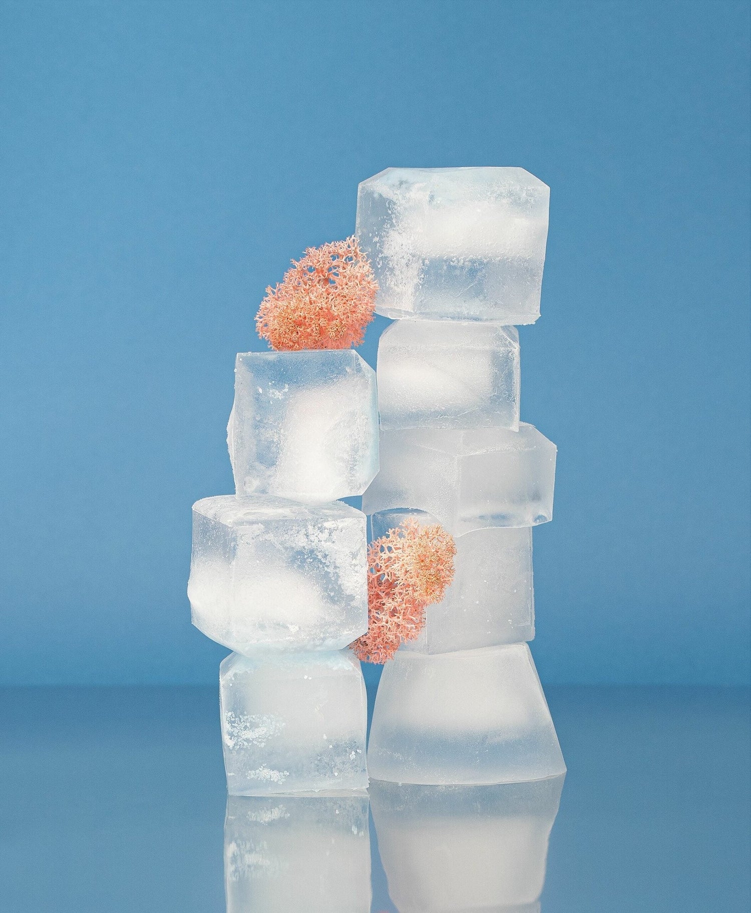 Stacked translucent ice cubes arranged with small coral-like pink sponges on a reflective blue background