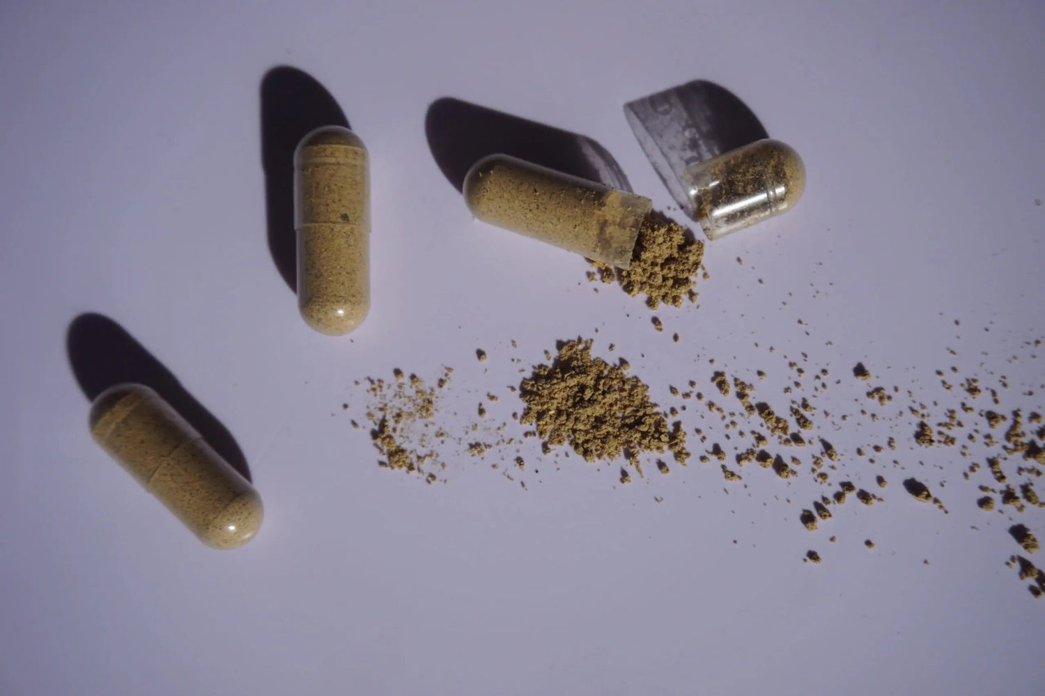 Three clear capsules filled with beige probiotic powder, one split open with powder spilled on a white surface