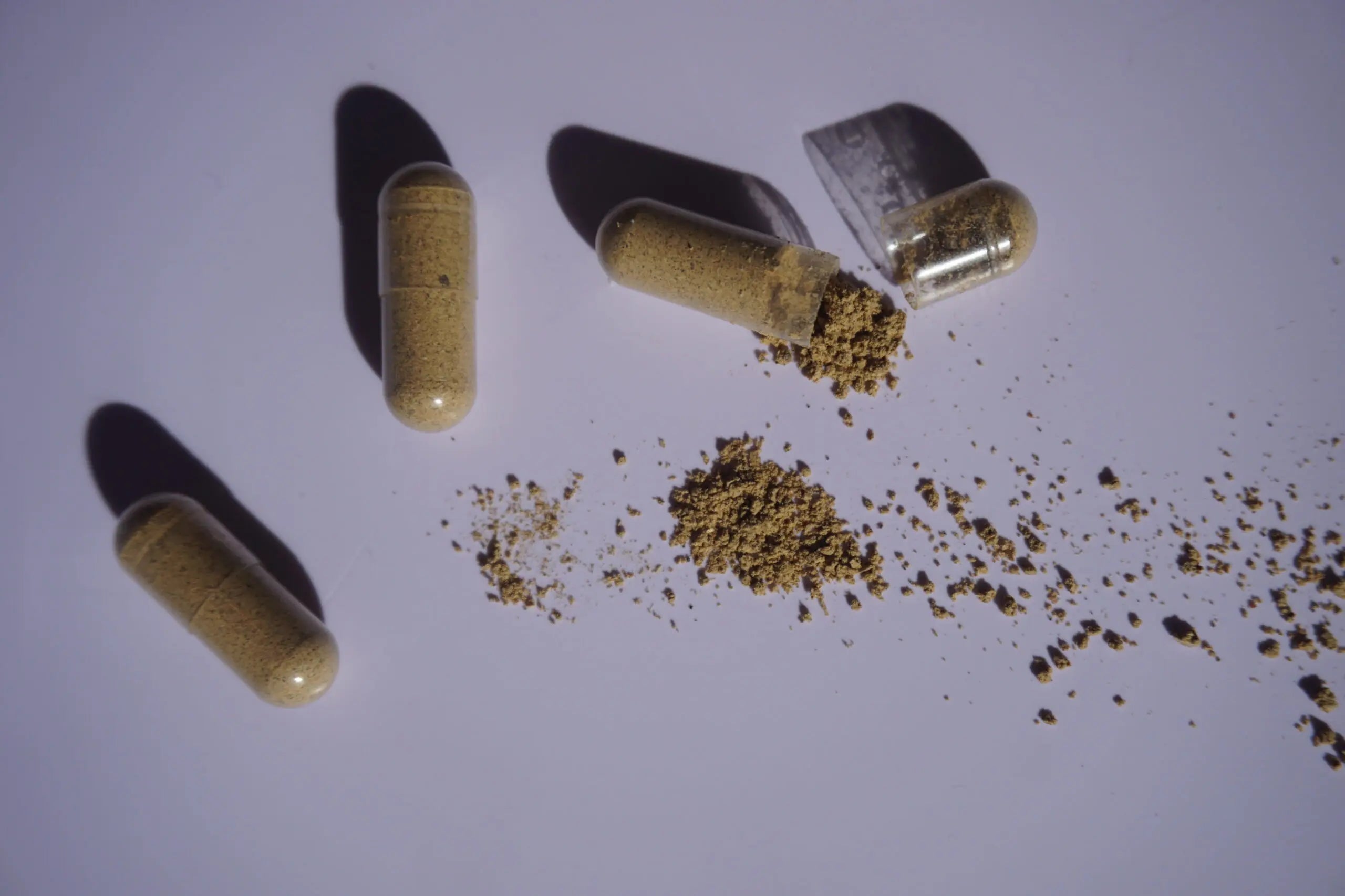 Three clear capsules filled with beige probiotic powder, one split open with powder spilled on a white surface