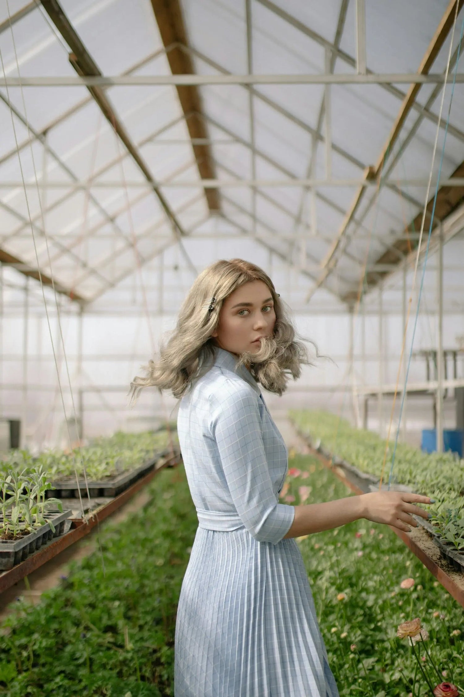 Young woman in a light blue dress turning to look back while standing between rows of seedlings in a greenhouse