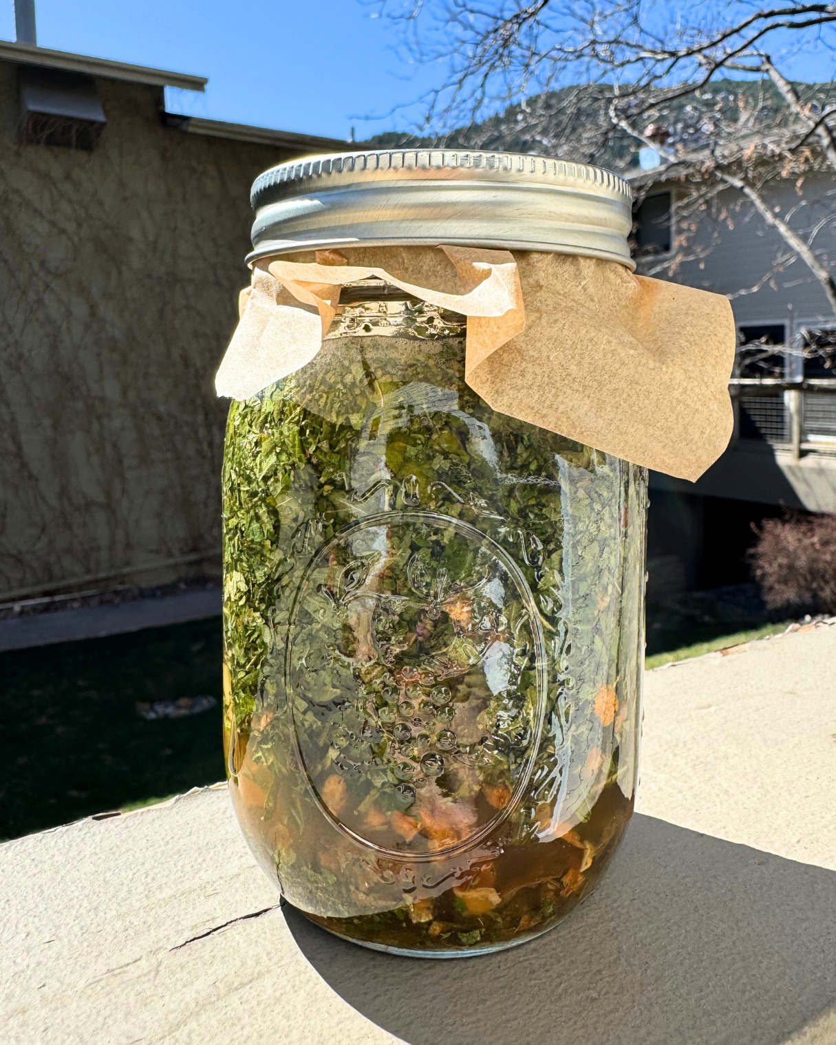 Close-up of a mason jar of mineral-rich spring oxymel with chopped green herbs in amber liquid on a sunlit outdoor ledge