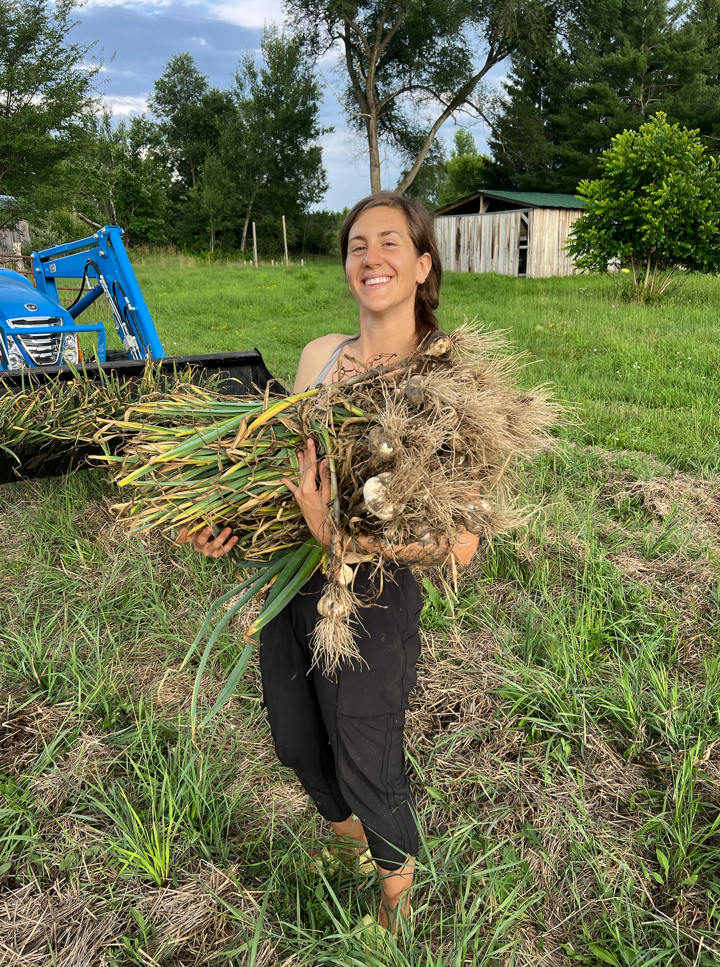 Woman holding a large bundle of freshly harvested garlic in a grassy field with a blue tractor and barn behind her