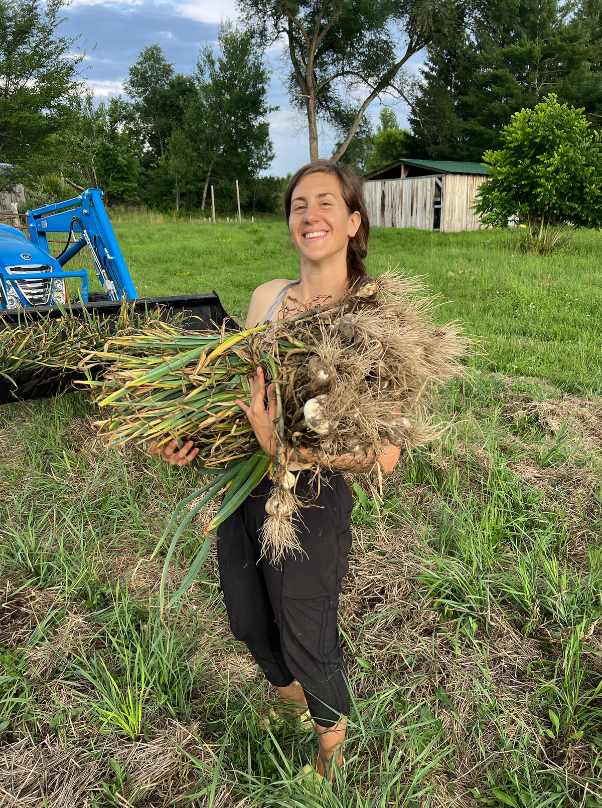 Woman holding a large bundle of freshly harvested garlic in a grassy field with a blue tractor and barn behind her