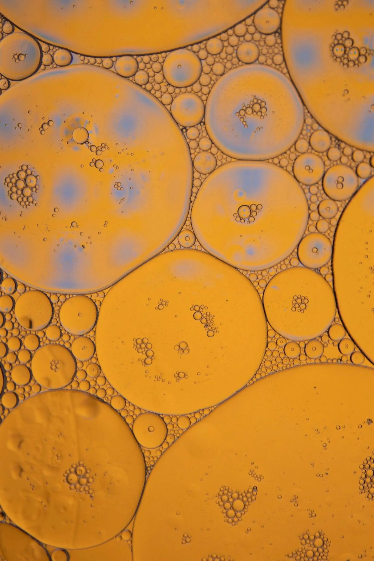Abstract close-up of orange liquid bubbles in various sizes