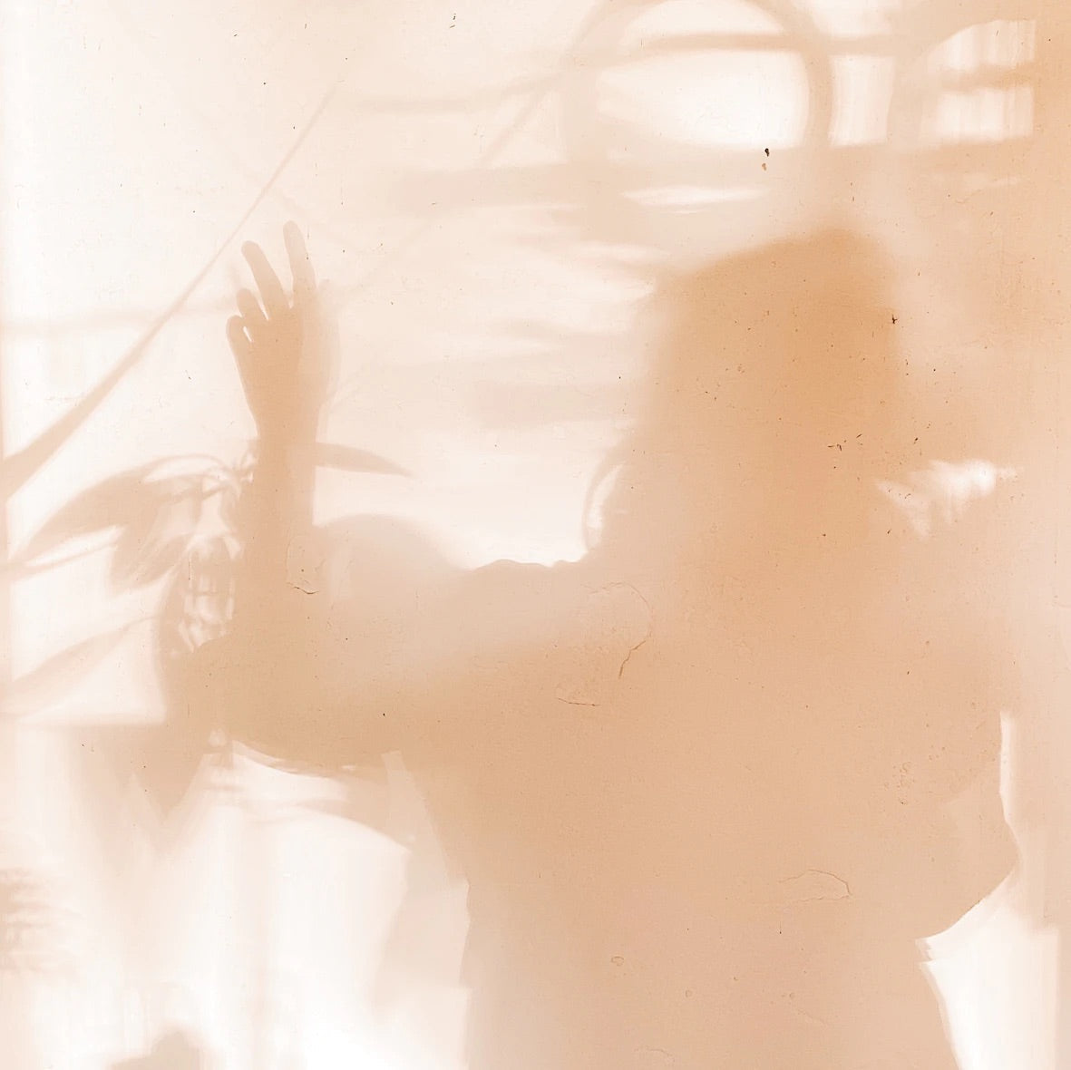 Silhouette of a person reaching toward a sheer curtain with backlit houseplants in warm peach light
