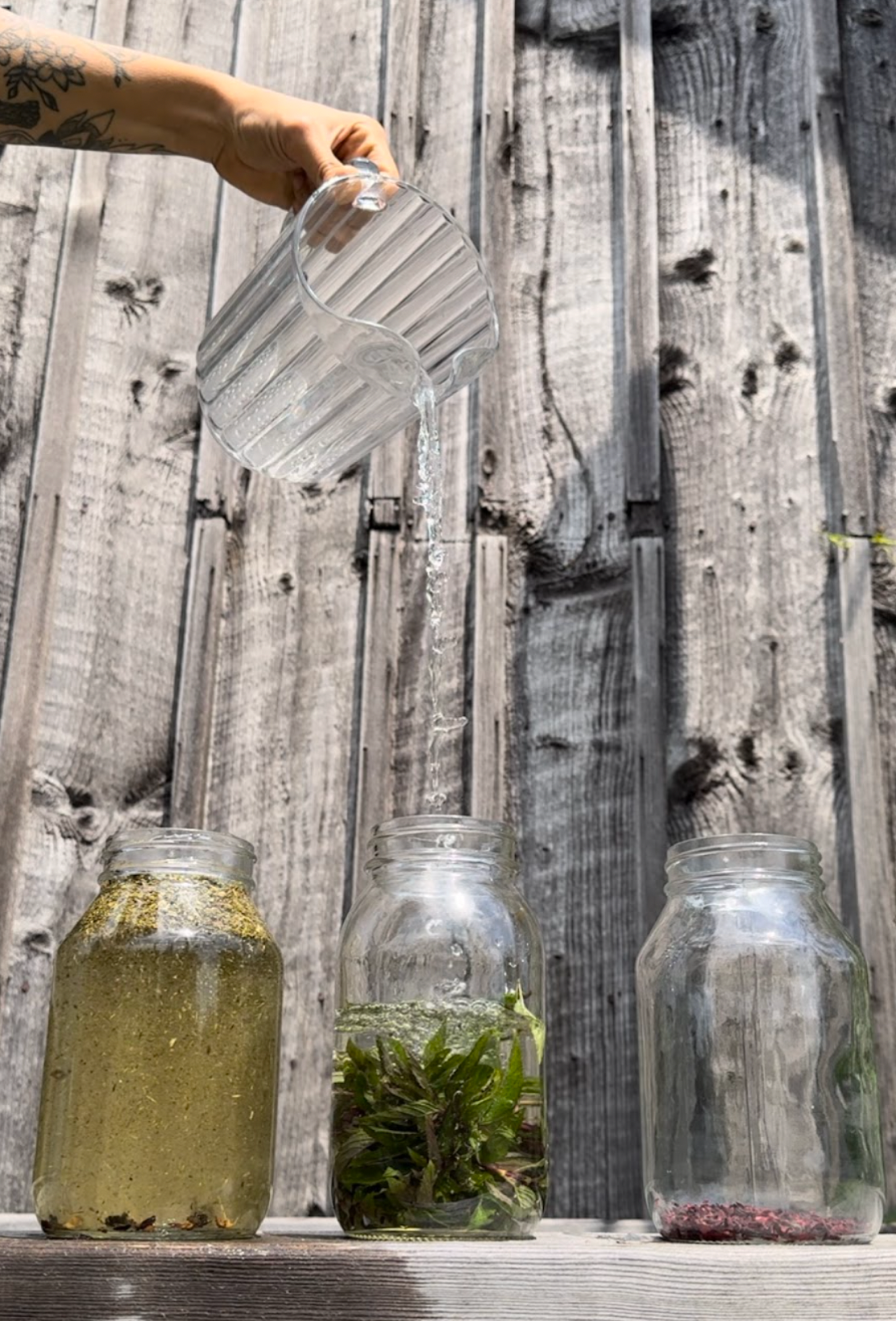 Hand with tattoo pouring water from a ribbed glass pitcher into three mason jars, one with green herbs, one cloudy, and one with red petals, on a sunlit wooden ledge