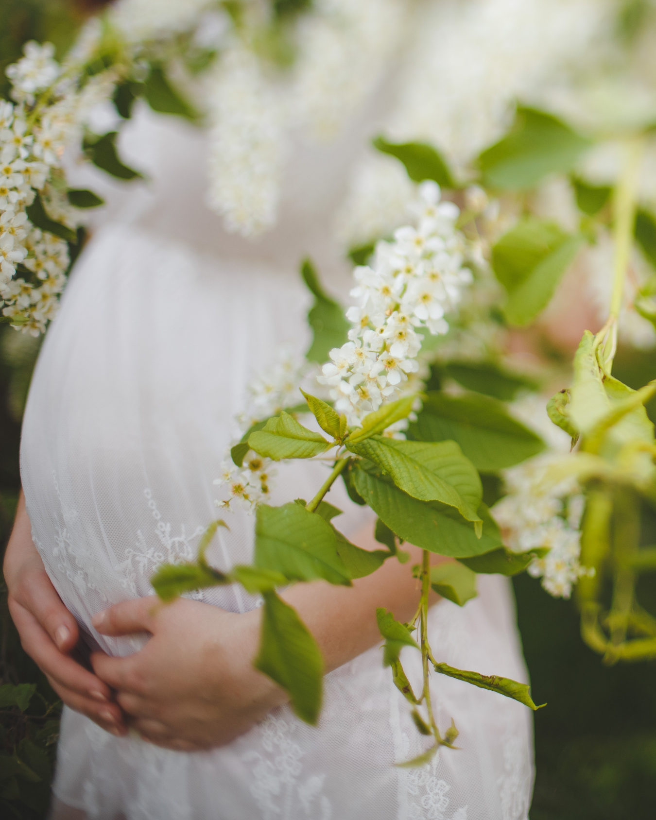 Pregnant woman gently cradling her belly among white spring blossoms