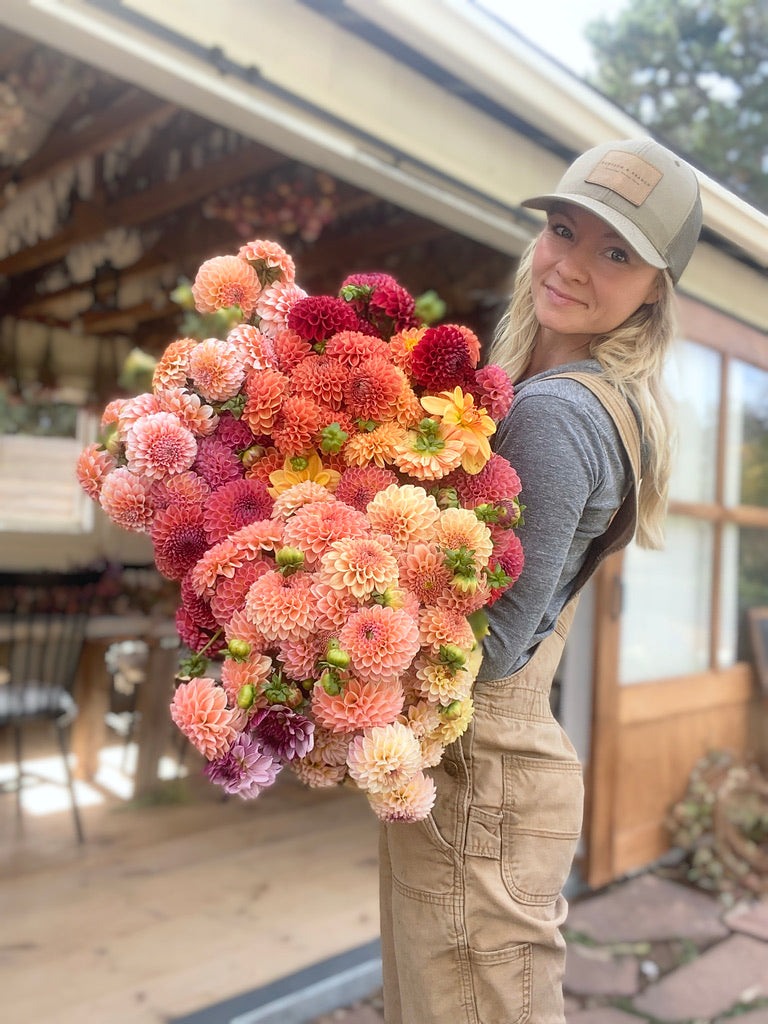 Woman wearing a cap and tan overalls holding a large bouquet of peach, coral, and red dahlias in front of a wooden greenhouse