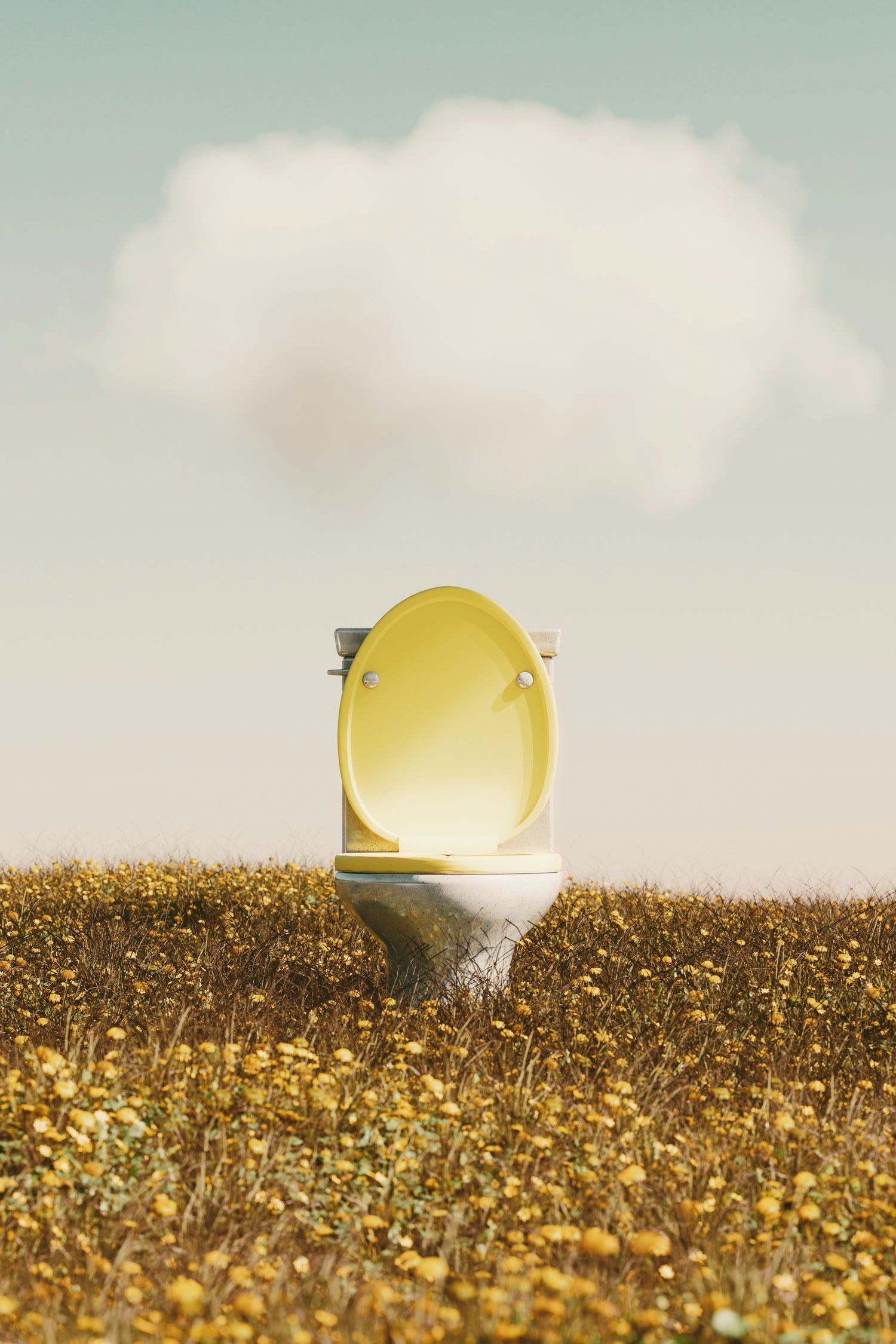 Yellow toilet with open lid standing in a field of yellow wildflowers under a pale sky with a single cloud