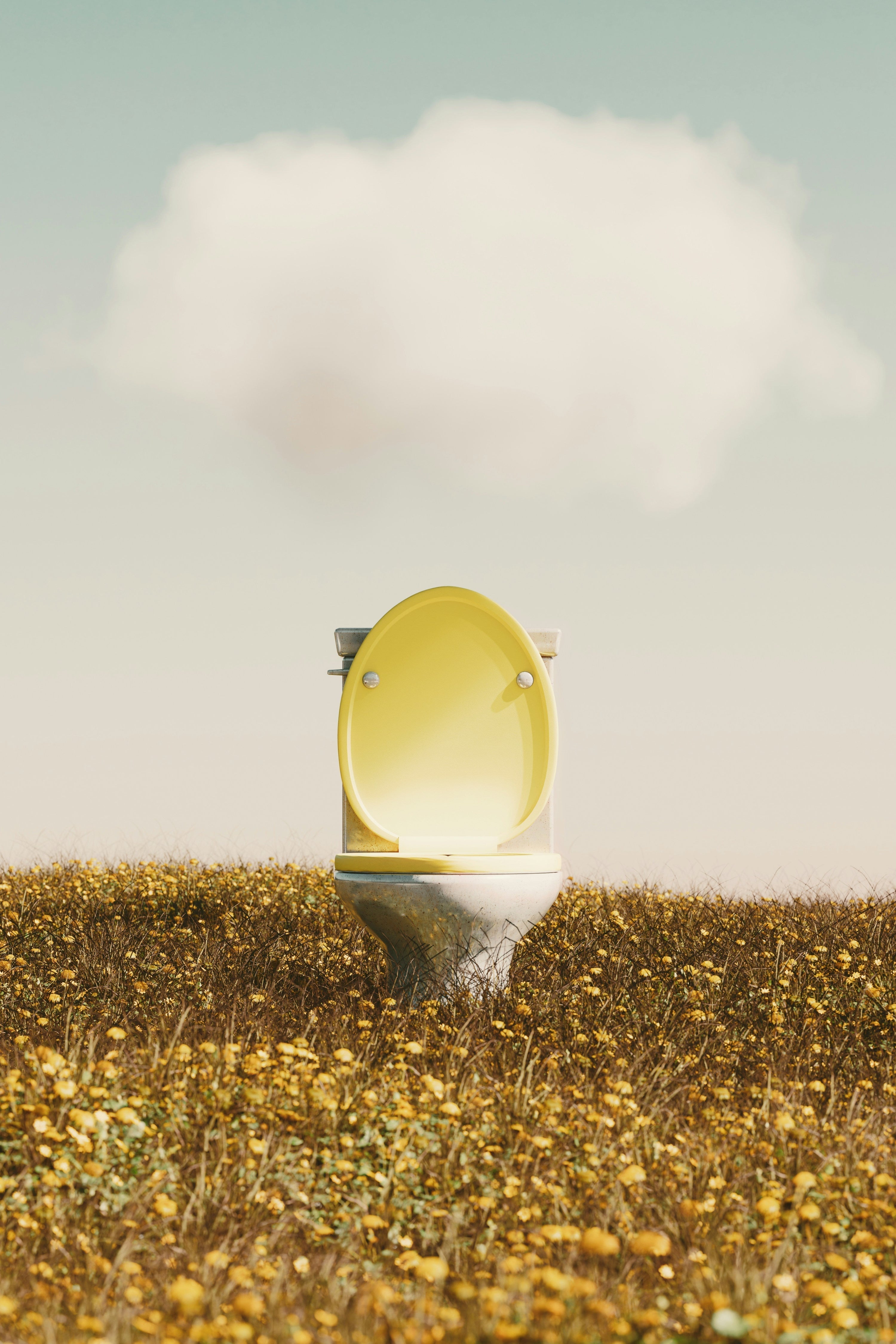 Yellow toilet with open lid standing in a field of yellow wildflowers under a pale sky with a single cloud