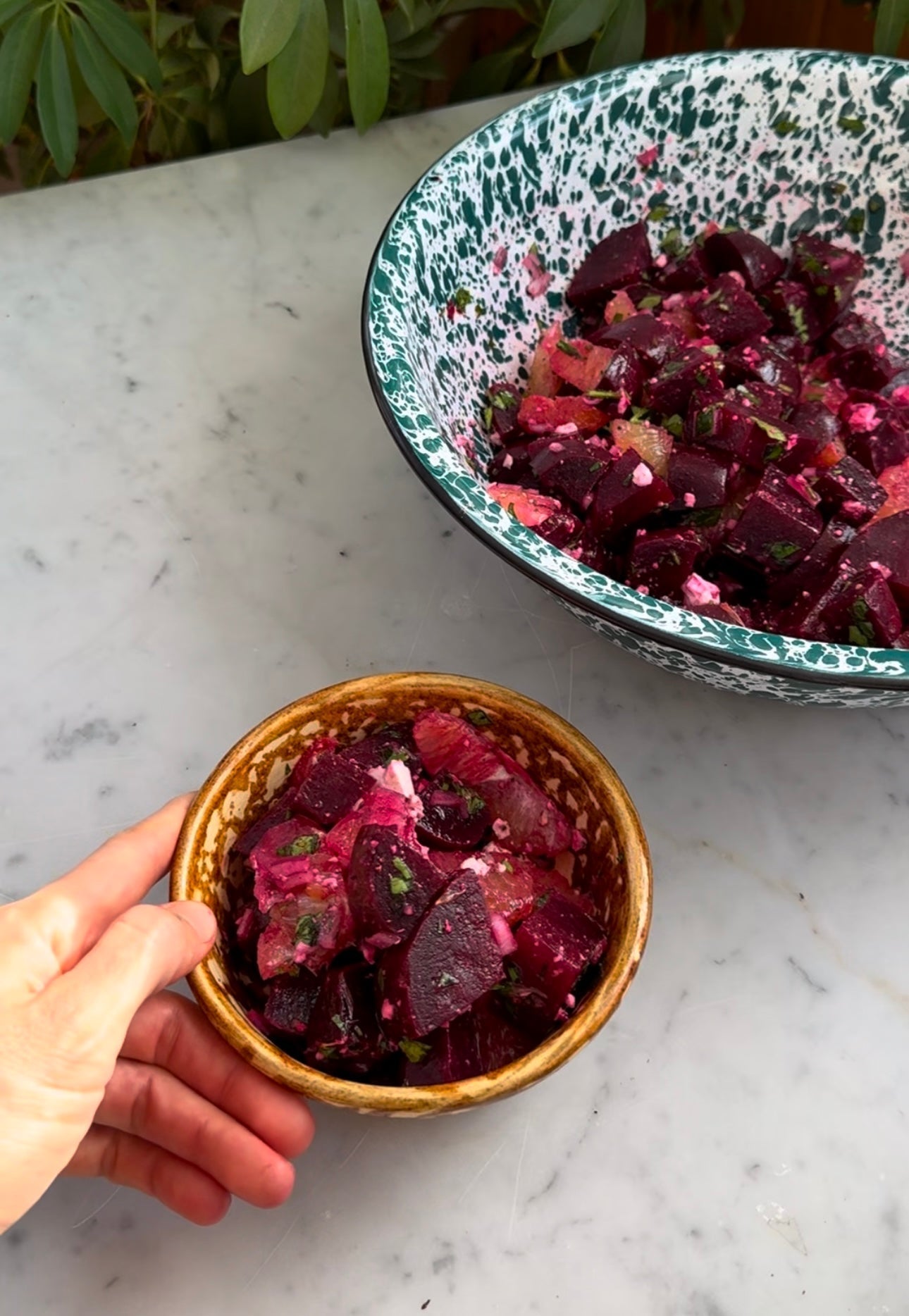 Beet Citrus Salad