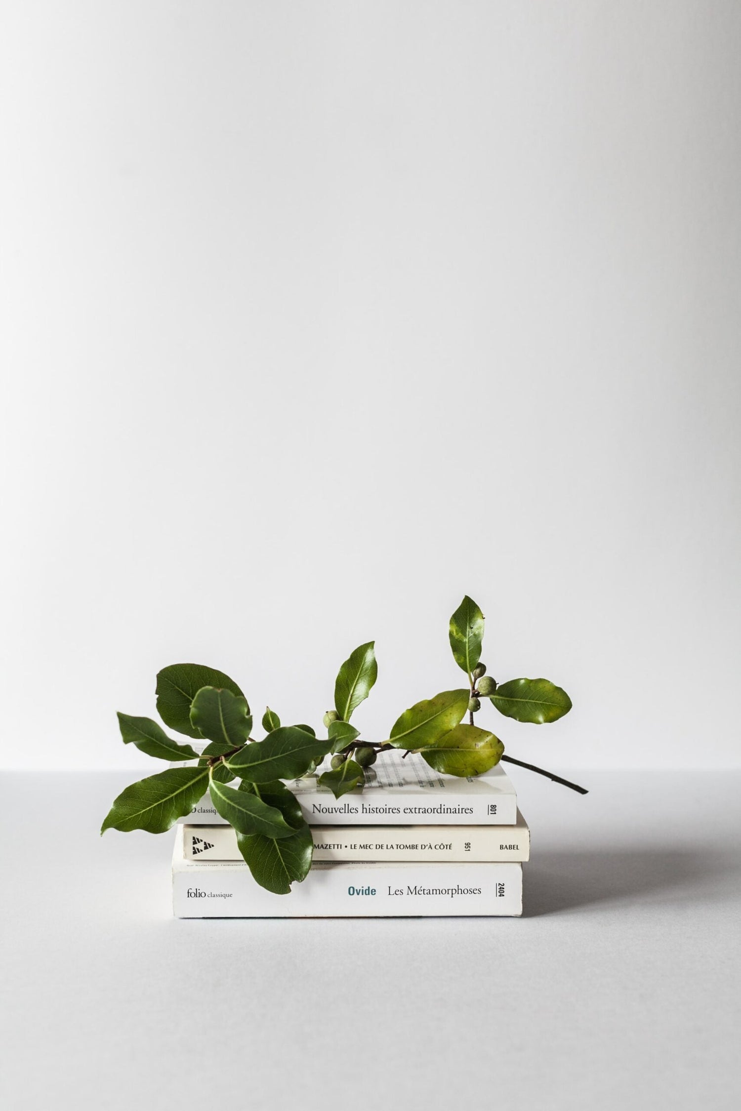 My Favorite Herbalism Books for Beginners