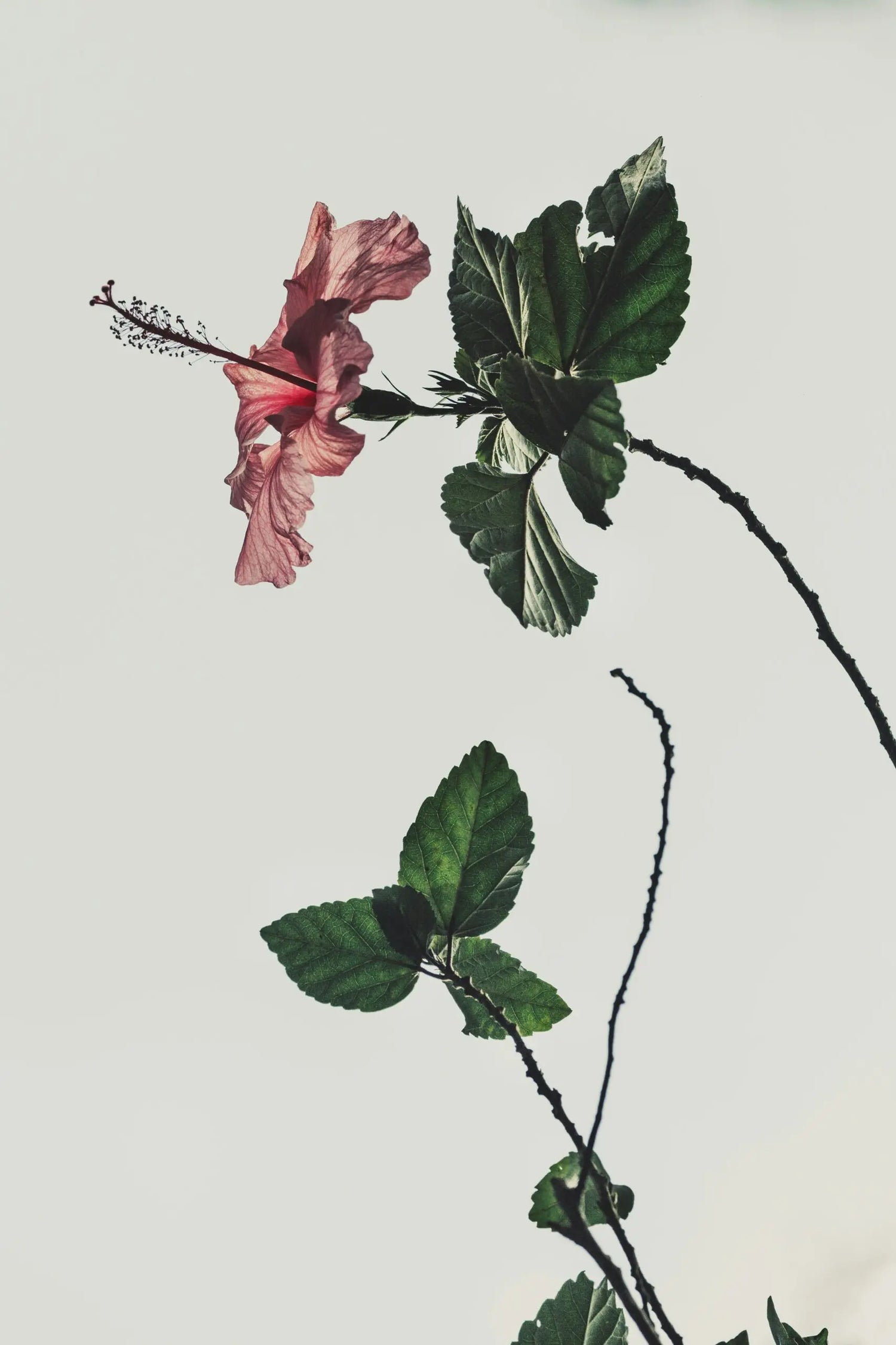 How to Journey Out of Codependency and into Self-Discovery | Q&A with Krista Williams