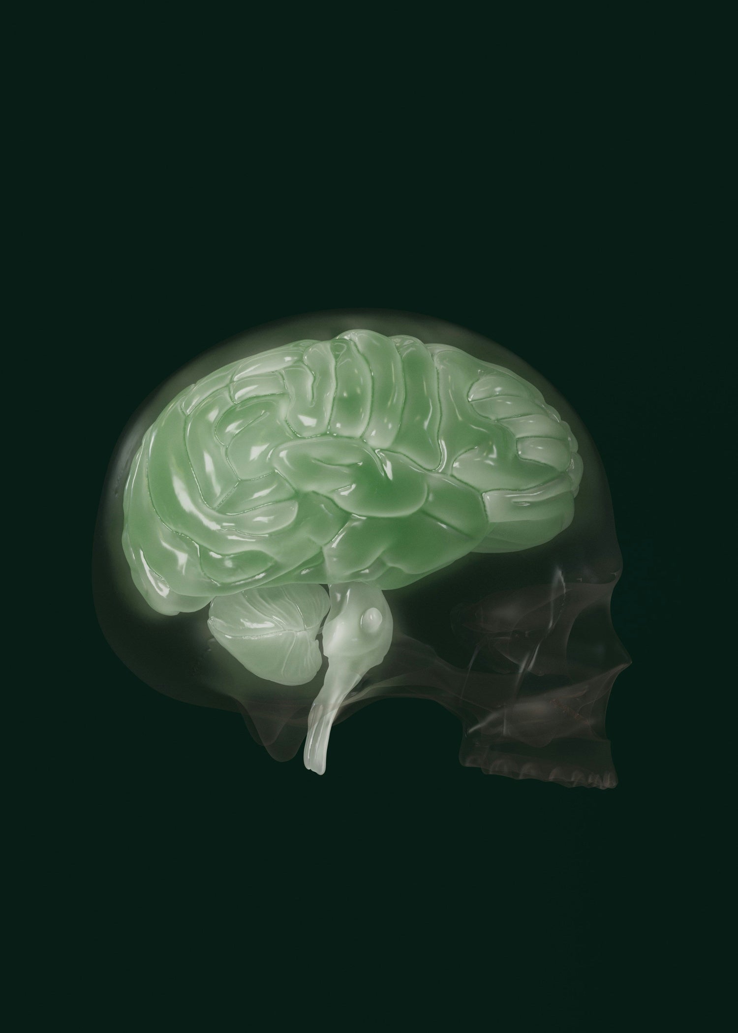 The Glymphatic System: Your Brain’s Own Washing Machine