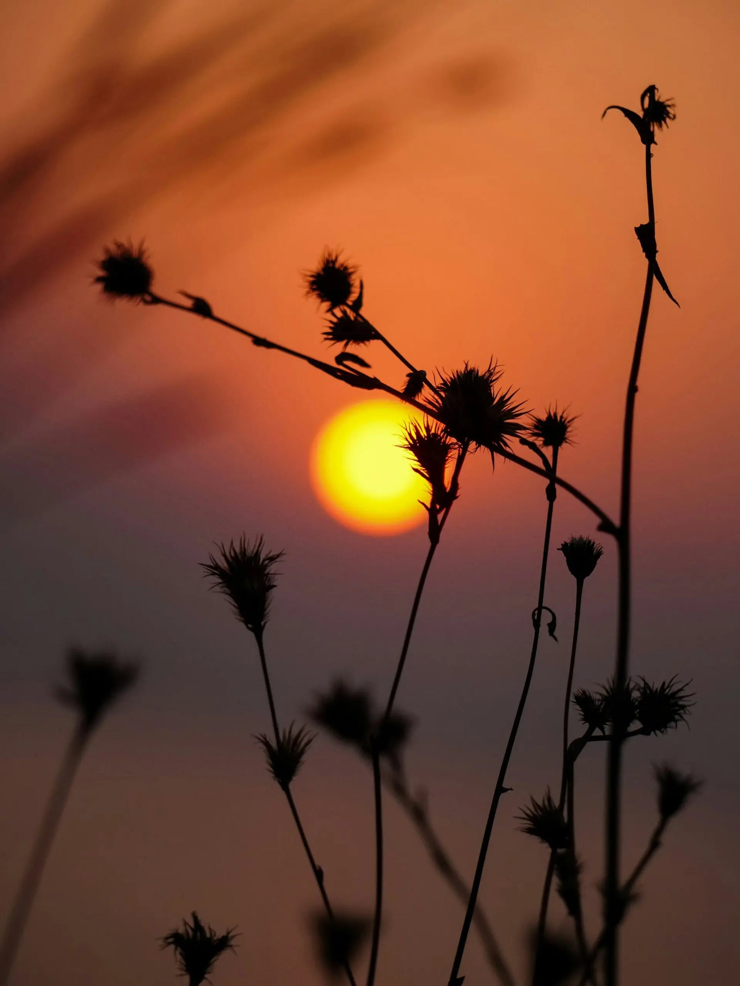 Transitioning to Shorter Days: How to Support Your Mitochondria & Circadian Rhythm